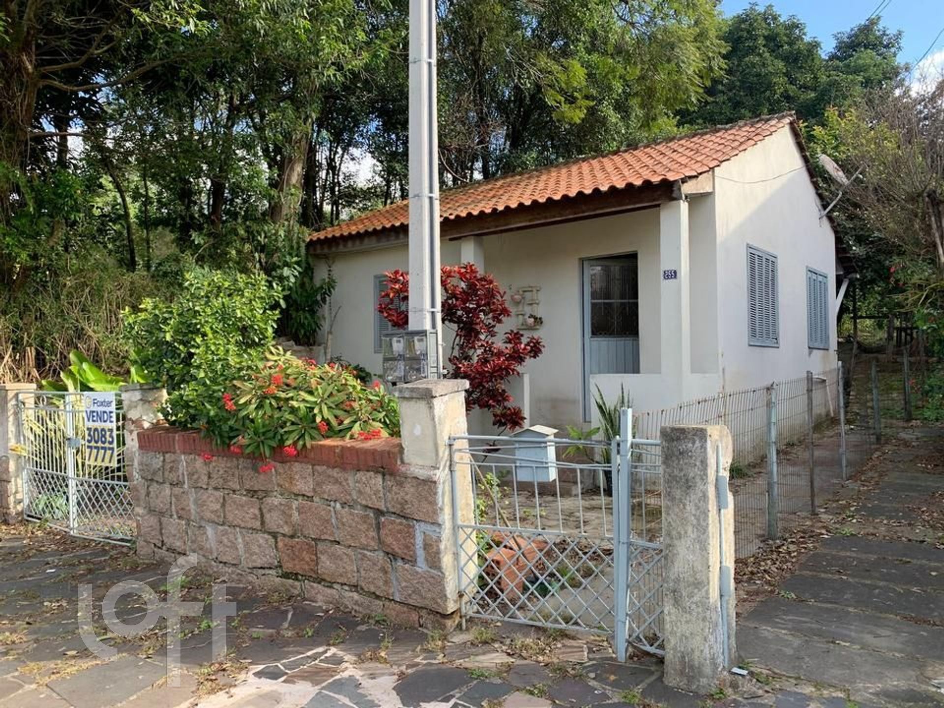 Imagem da propriedade 5