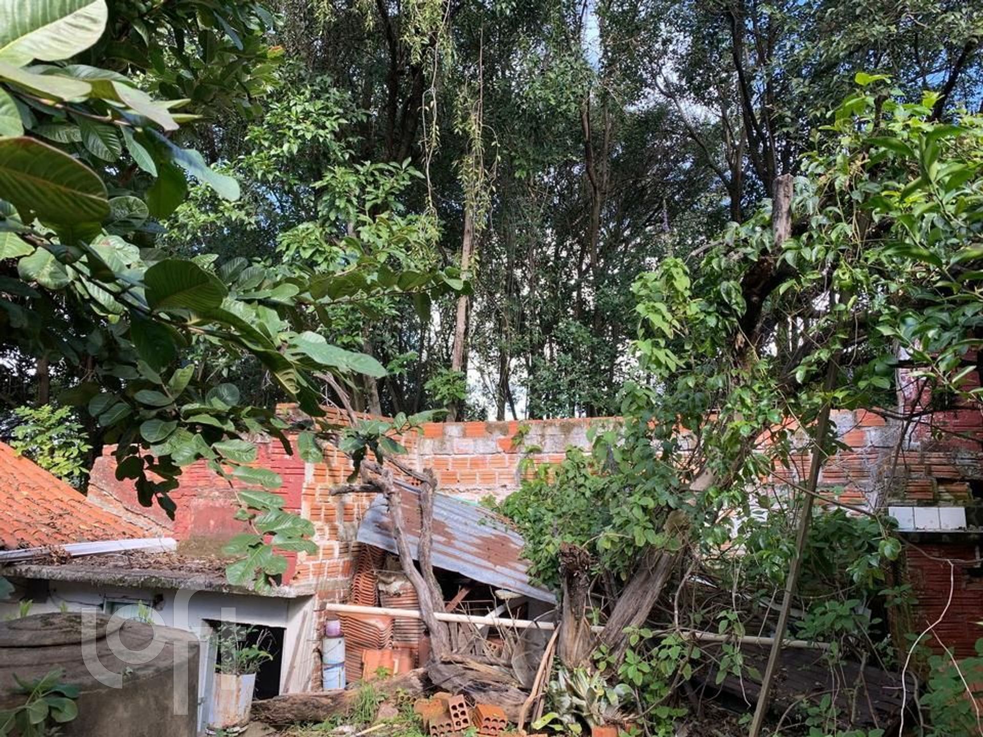 Imagem da propriedade 26