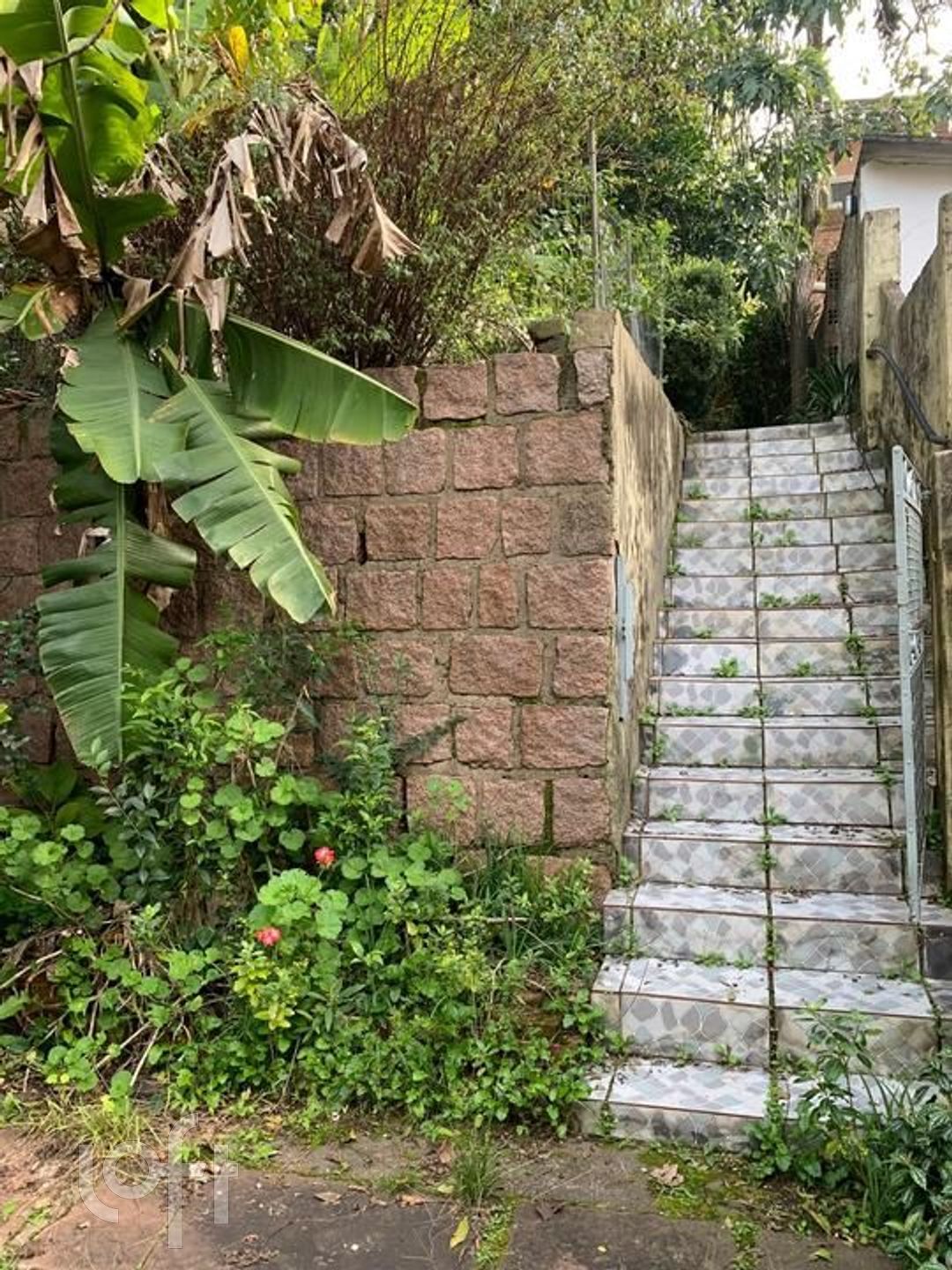 Imagem da propriedade 24