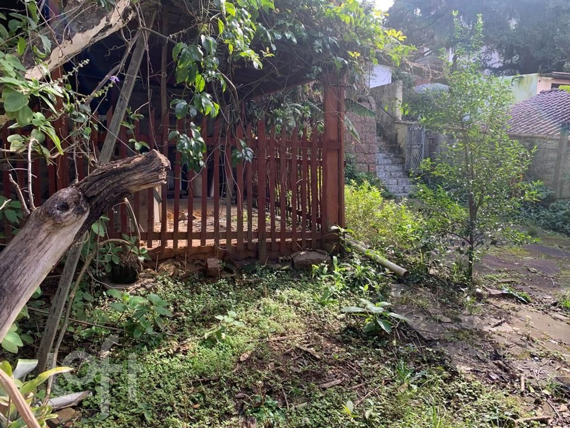 Imagem da propriedade 23