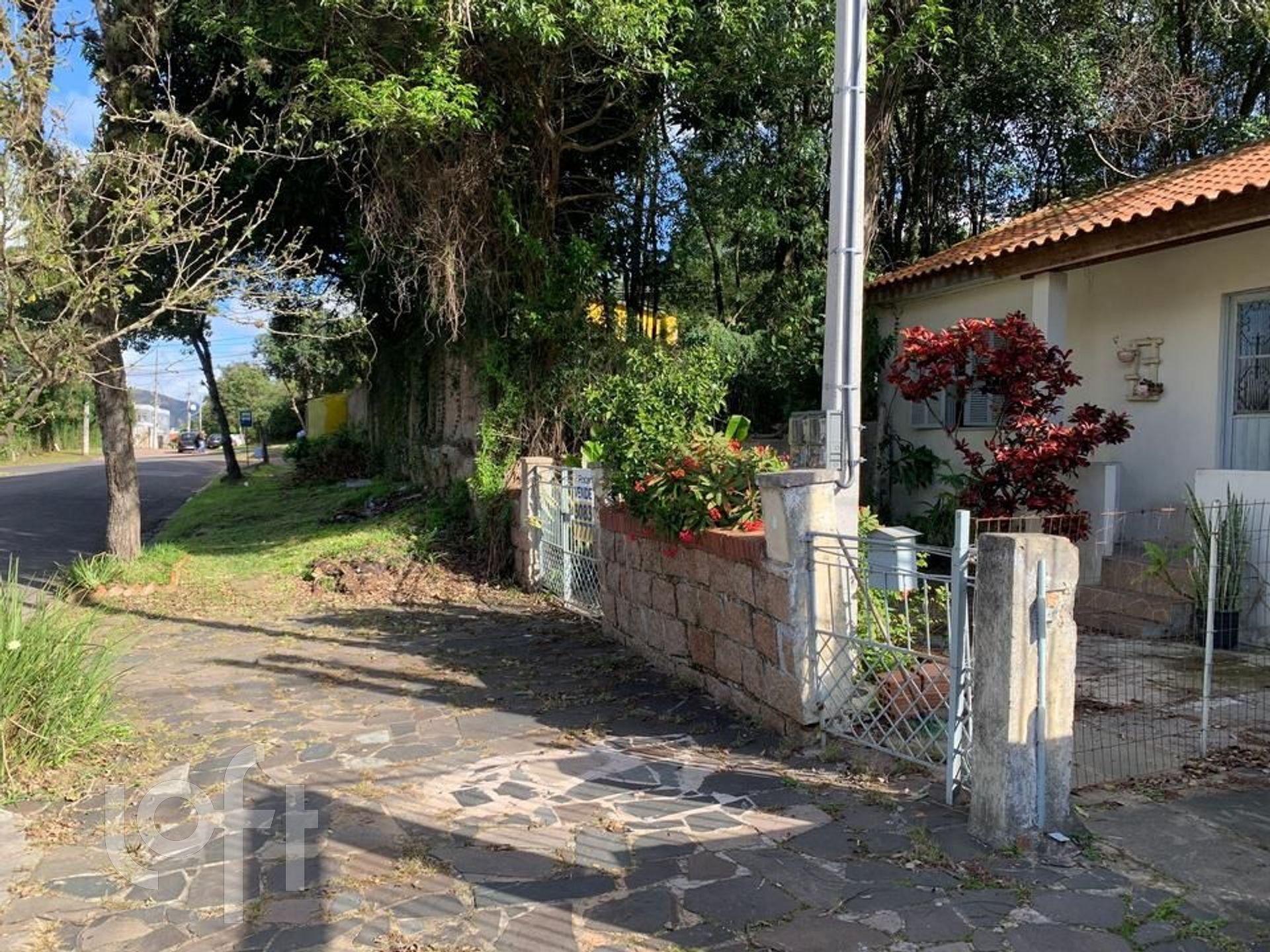 Imagem da propriedade 4