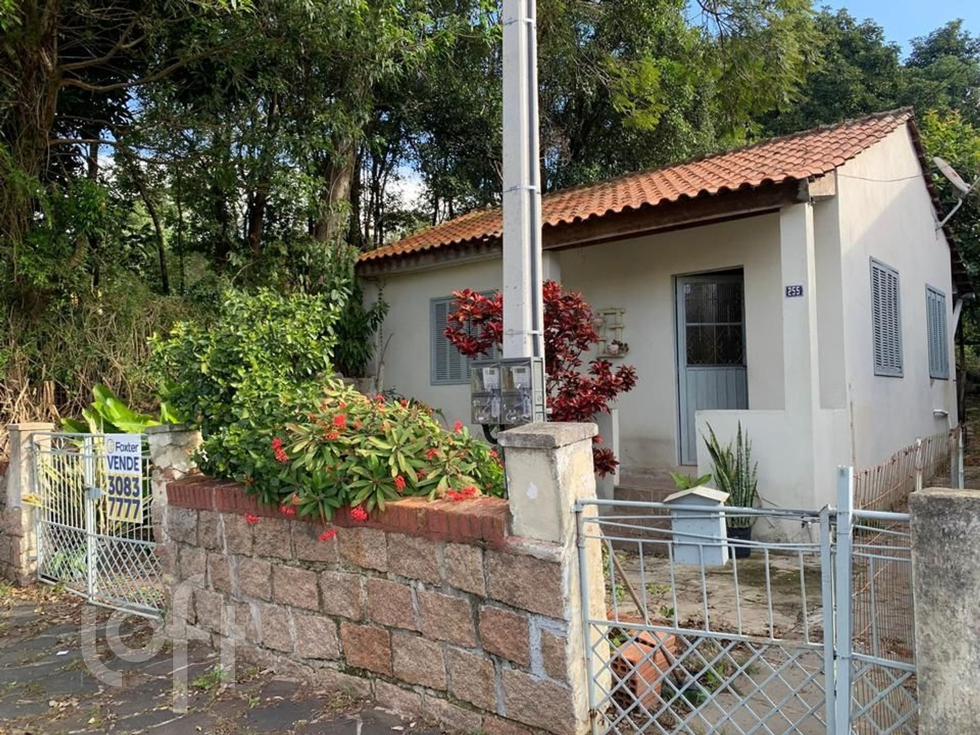 Imagem da propriedade 2