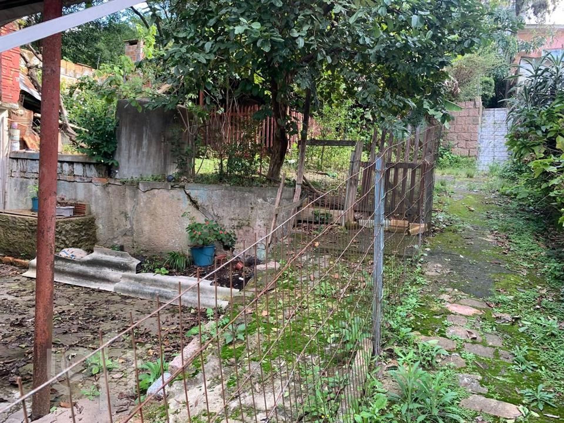 Imagem da propriedade 22