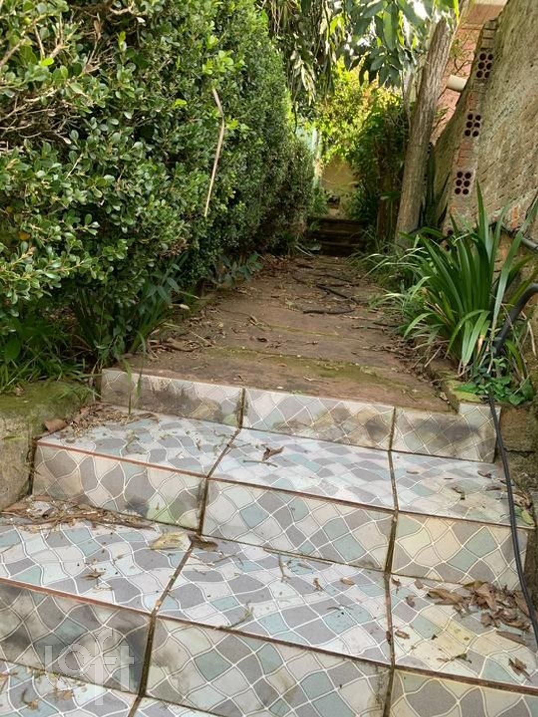 Imagem da propriedade 25