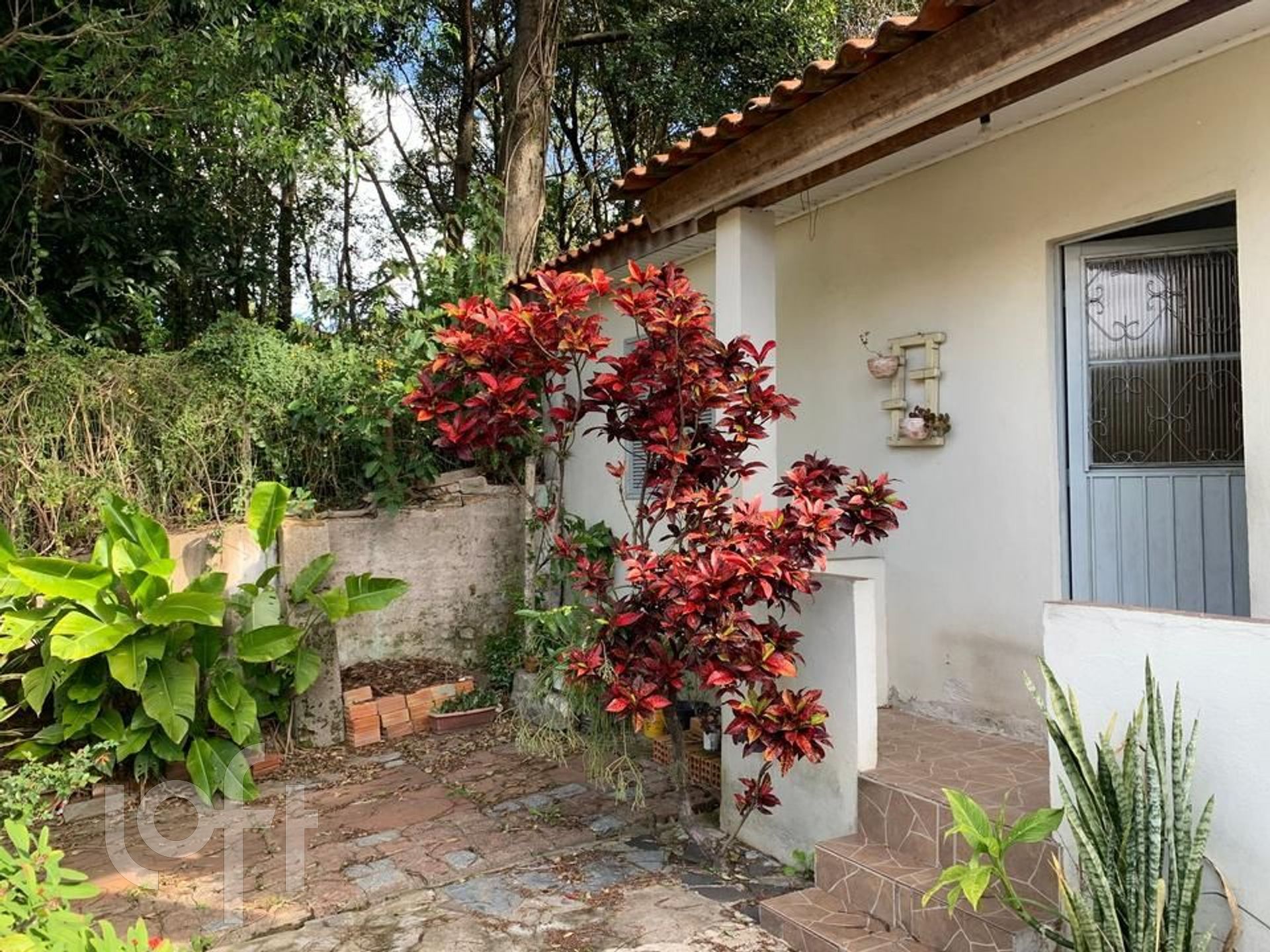 Imagem da propriedade 3