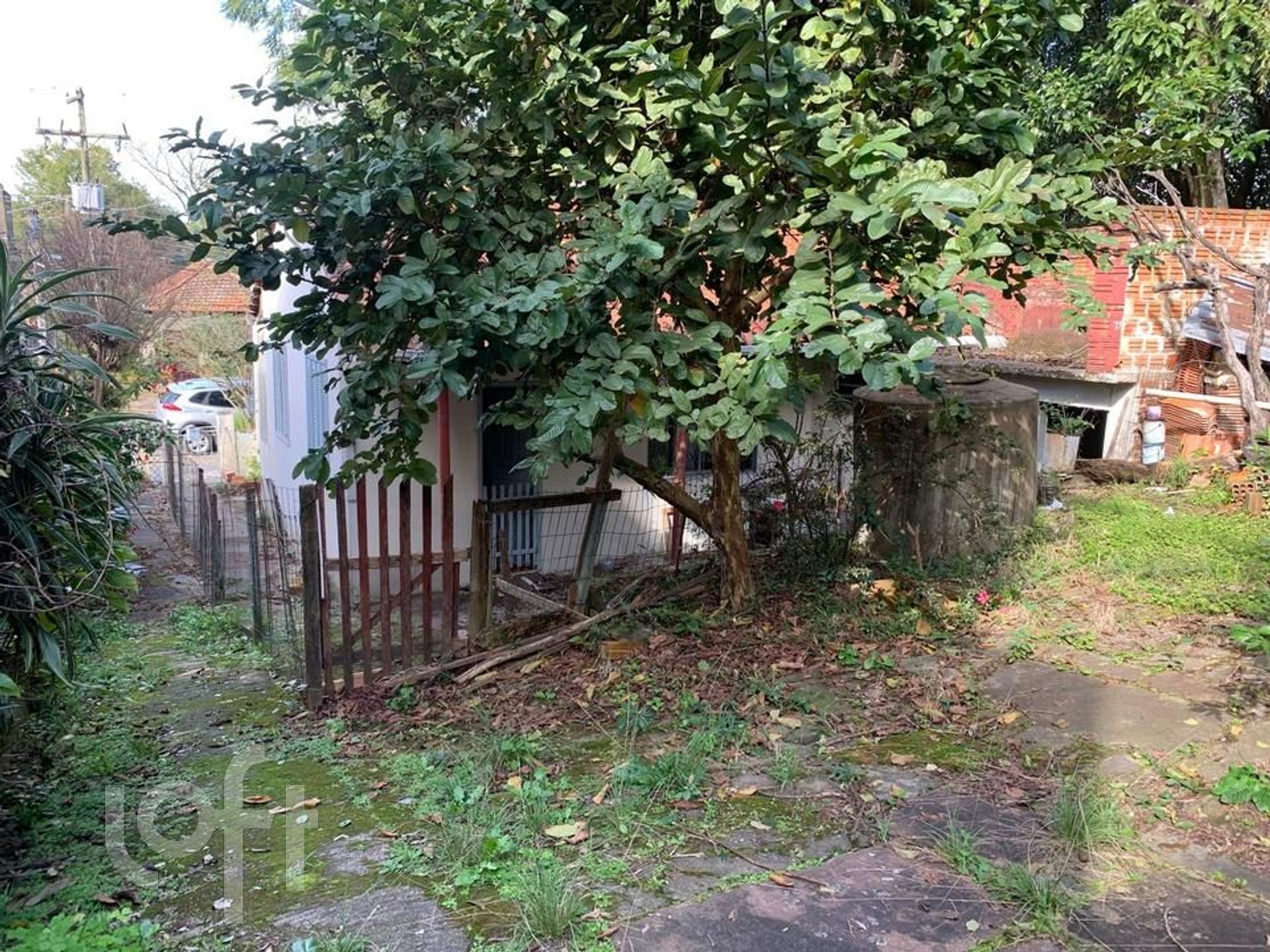 Imagem da propriedade 21