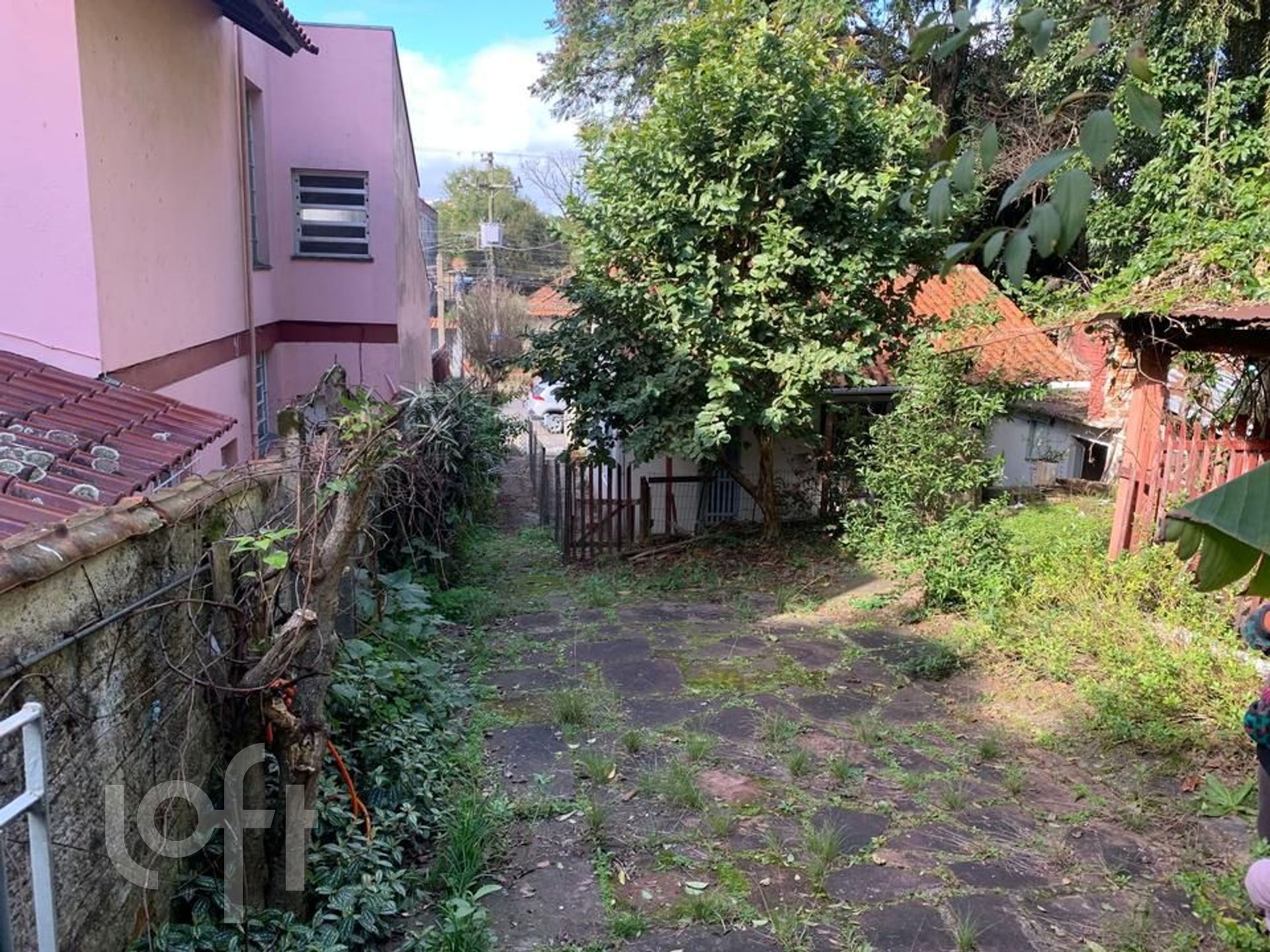 Imagem da propriedade 27