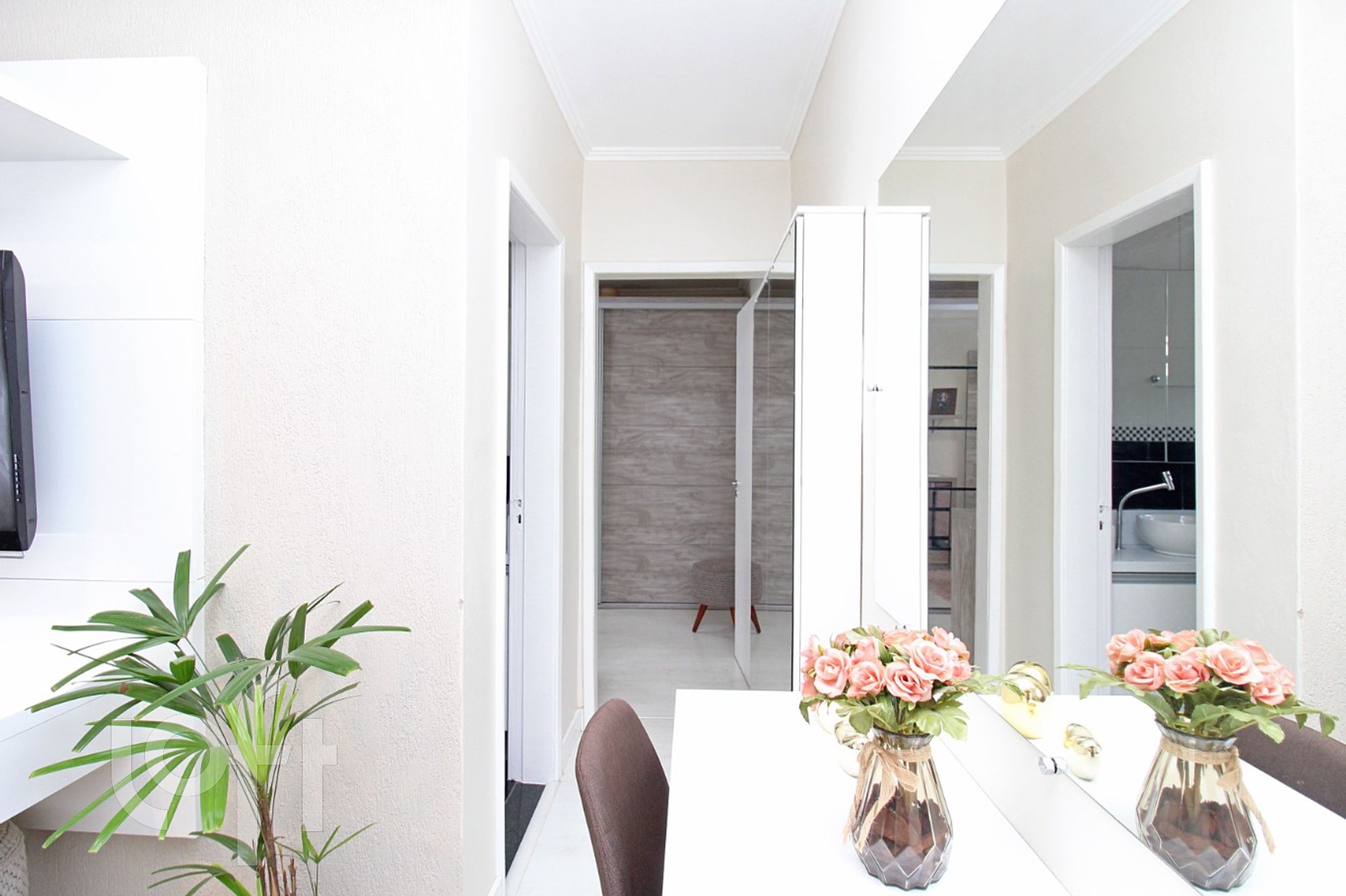 Imagem da propriedade 5