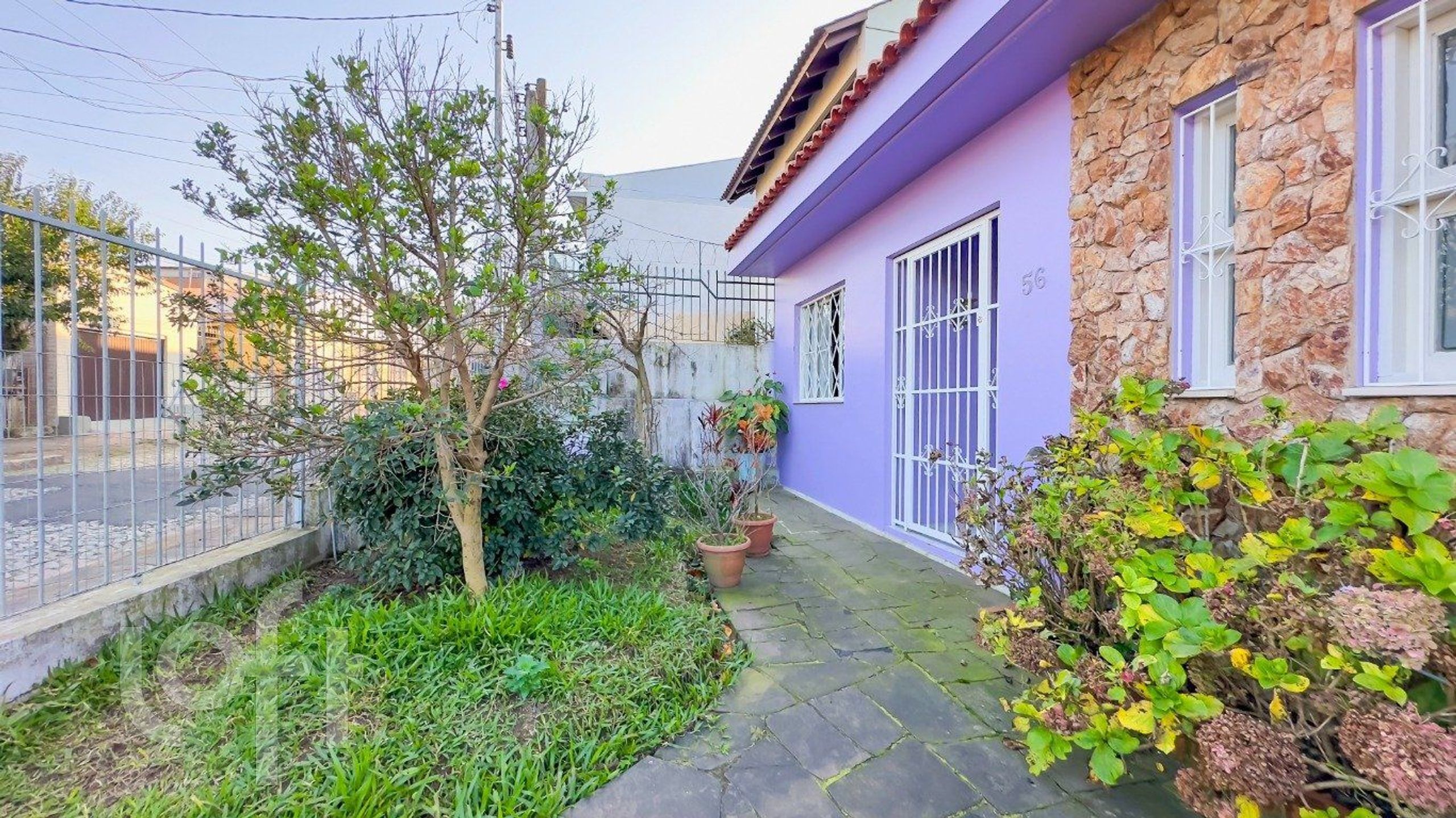 Imagem da propriedade 21