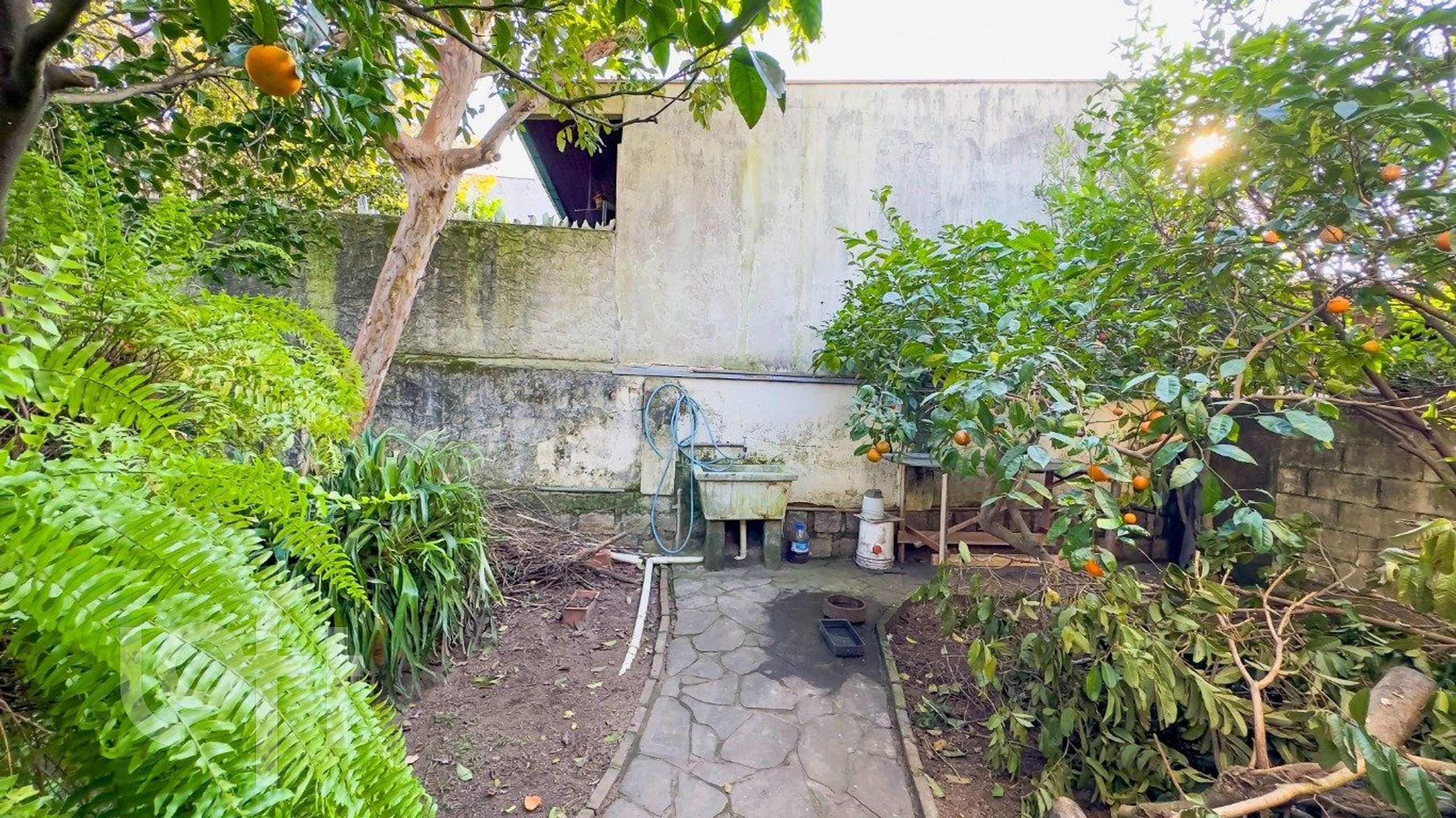 Imagem da propriedade 17