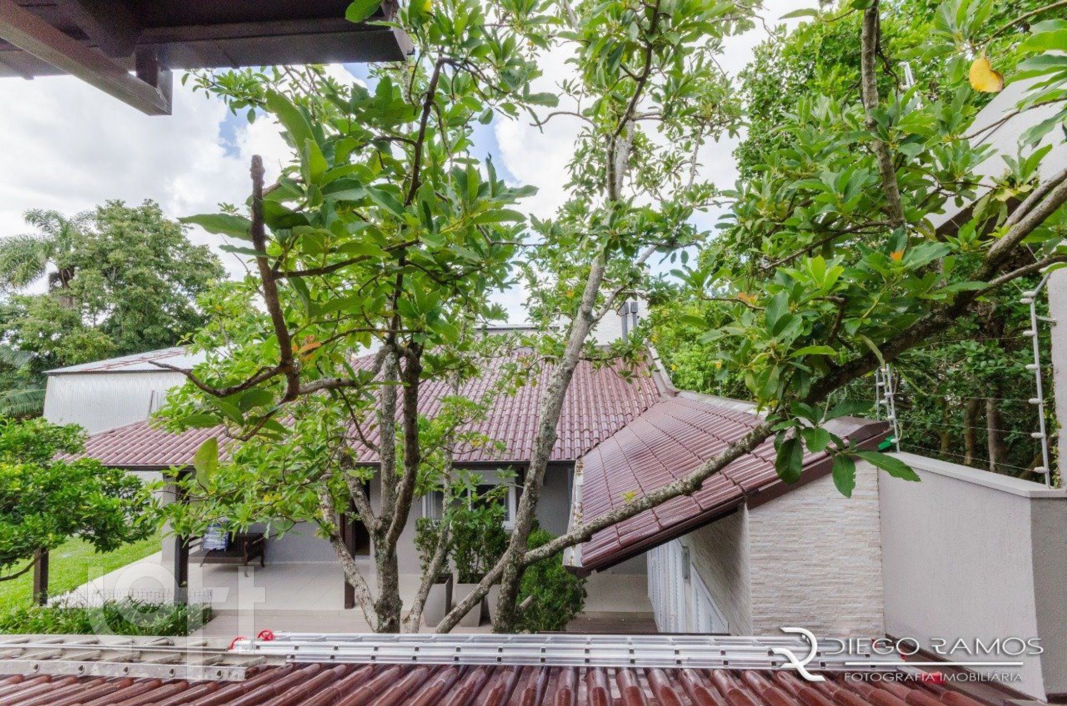 Imagem da propriedade 46