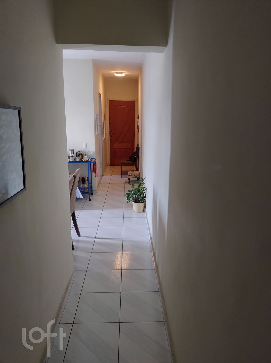Imagem da propriedade 7