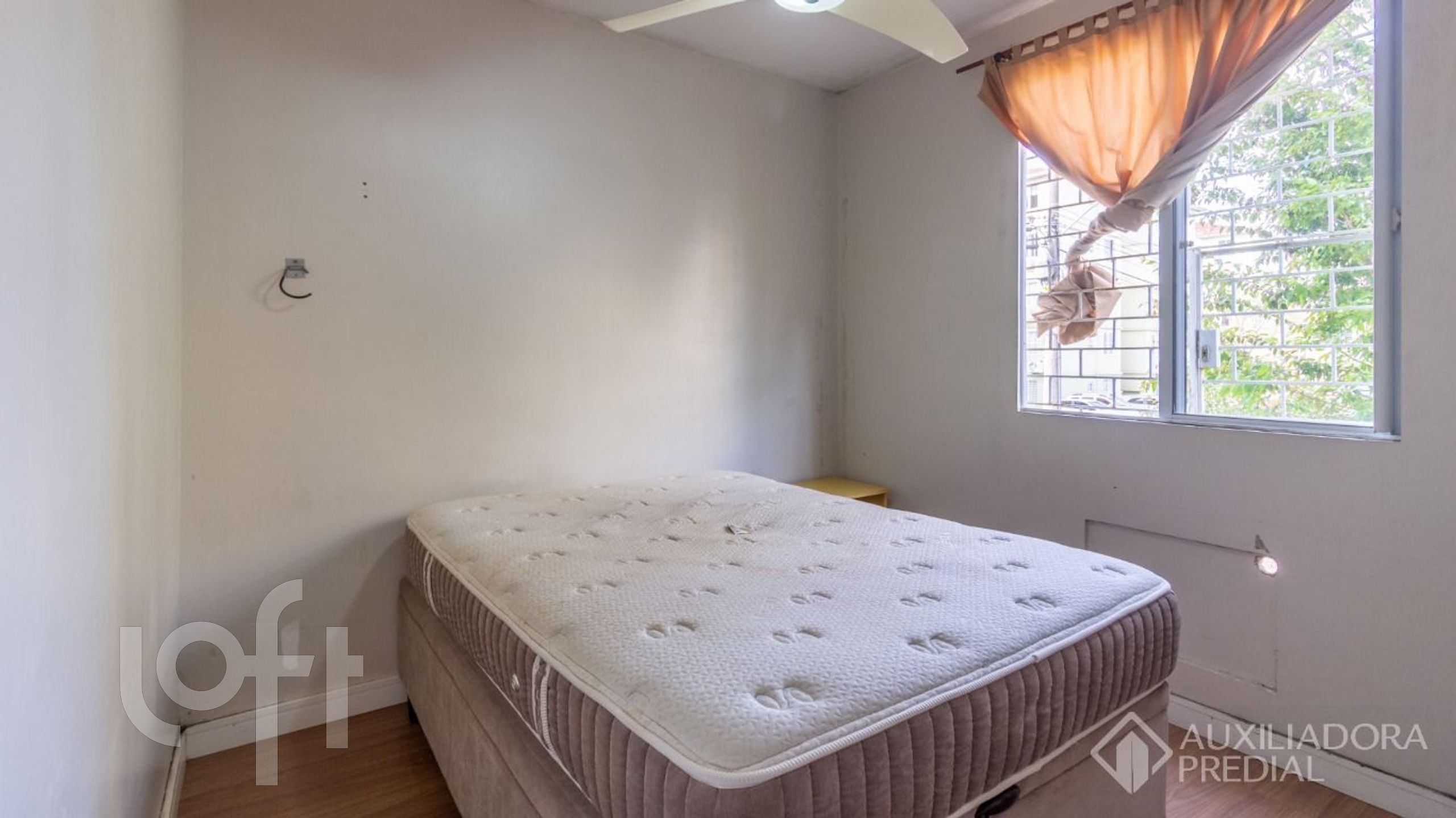 Imagem da propriedade 4