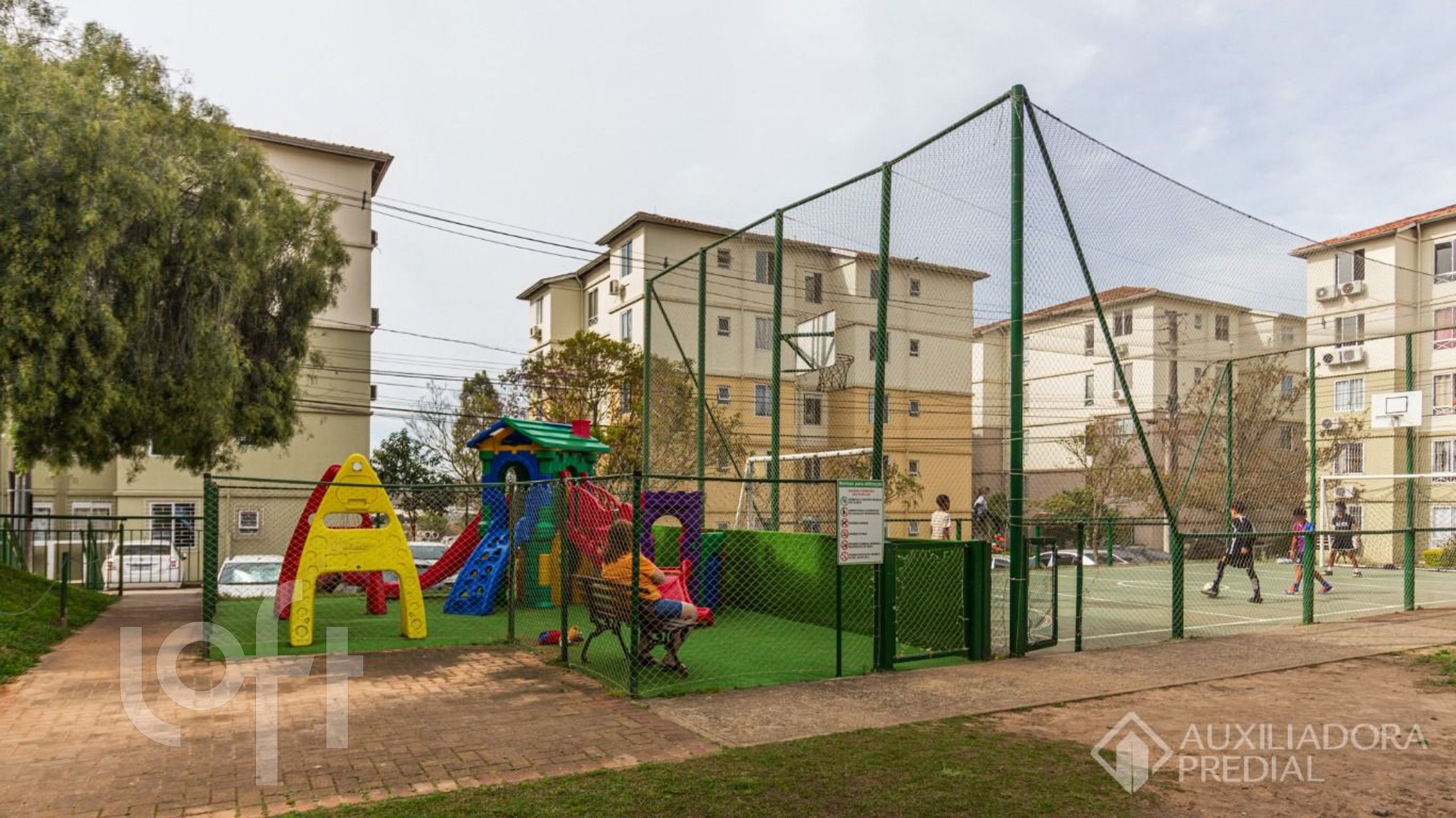 Imagem da propriedade 24