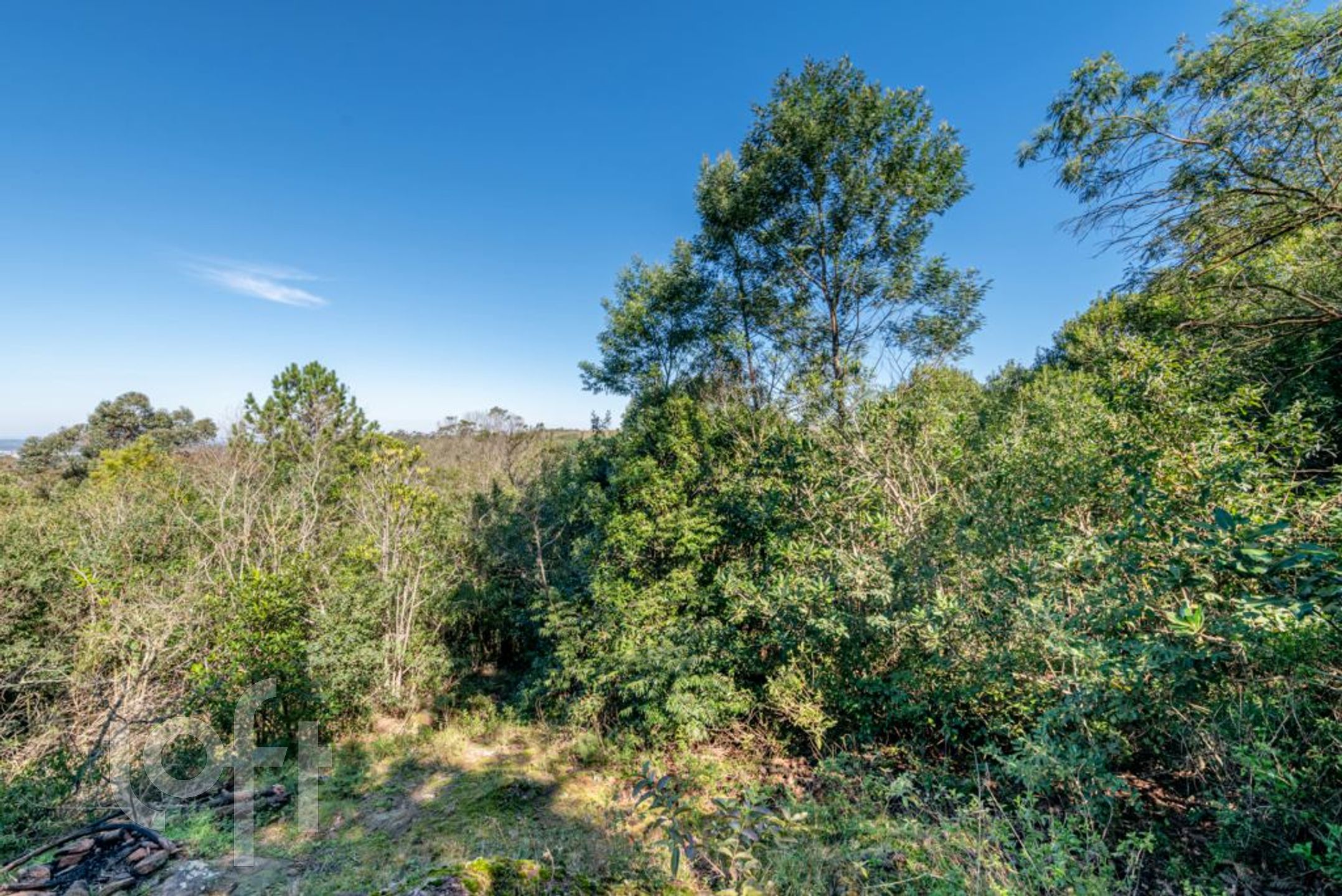 Imagem da propriedade 40