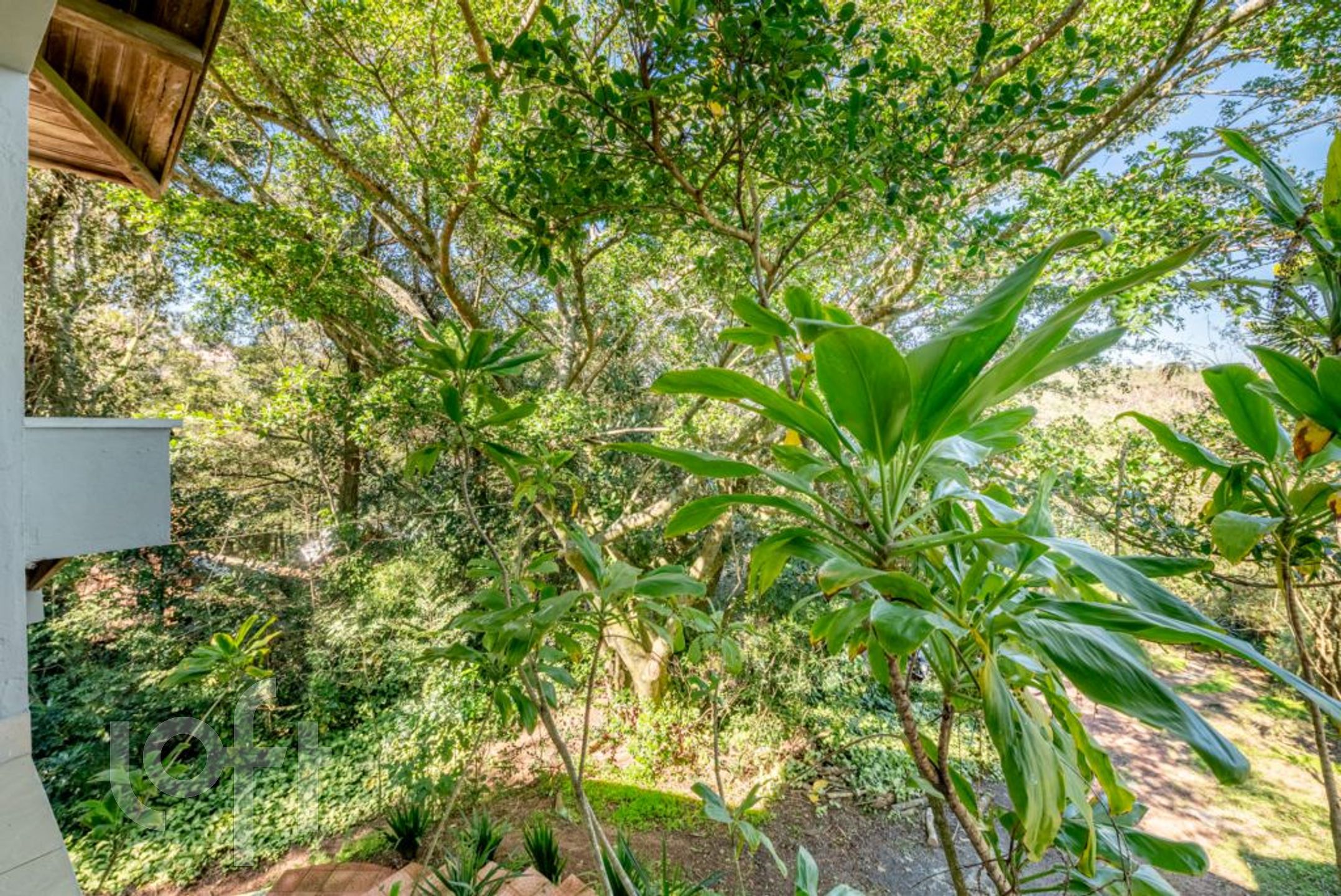 Imagem da propriedade 20