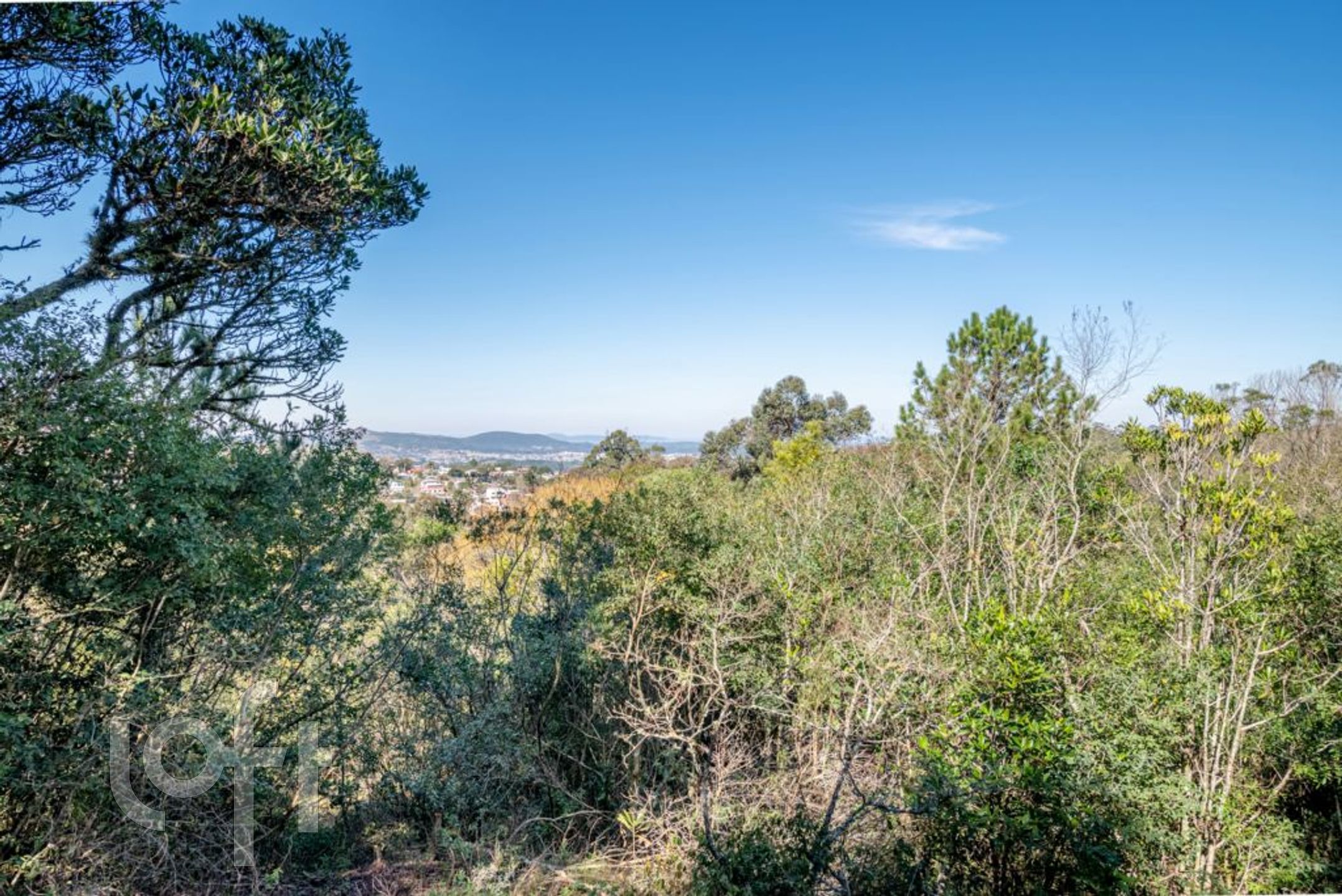 Imagem da propriedade 38