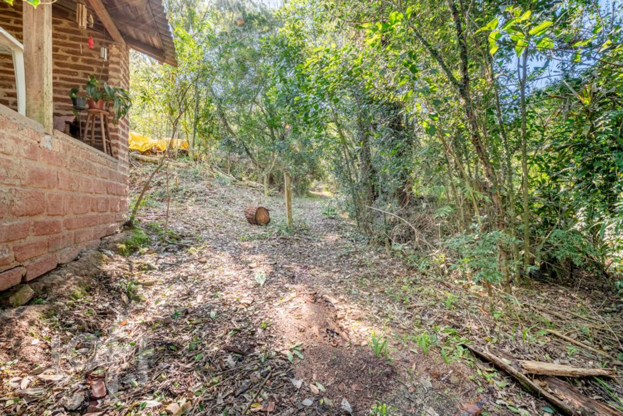 Imagem da propriedade 36