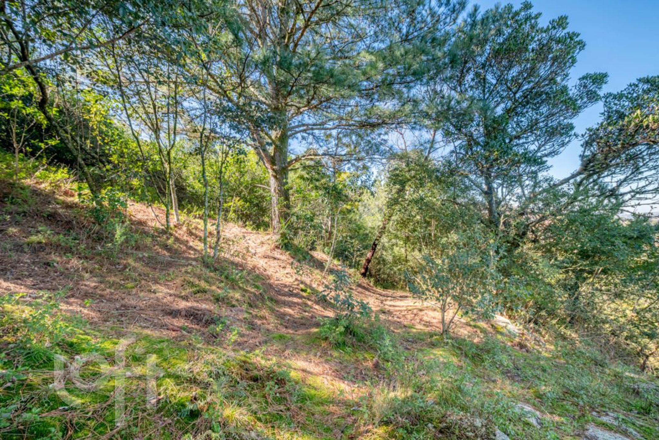 Imagem da propriedade 41