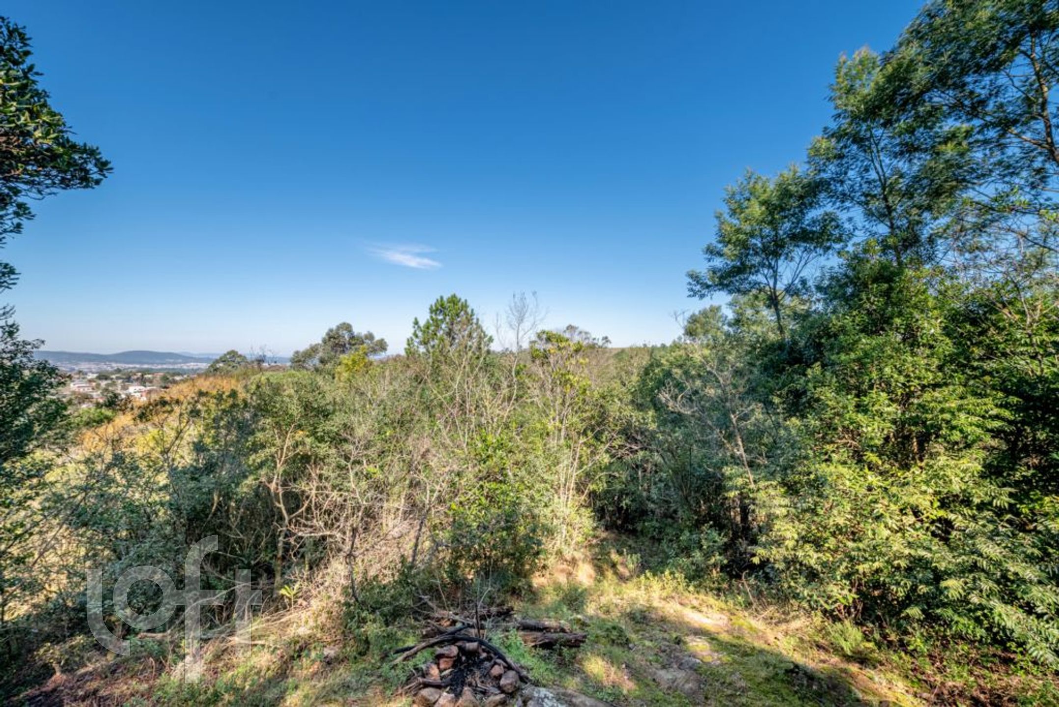 Imagem da propriedade 39