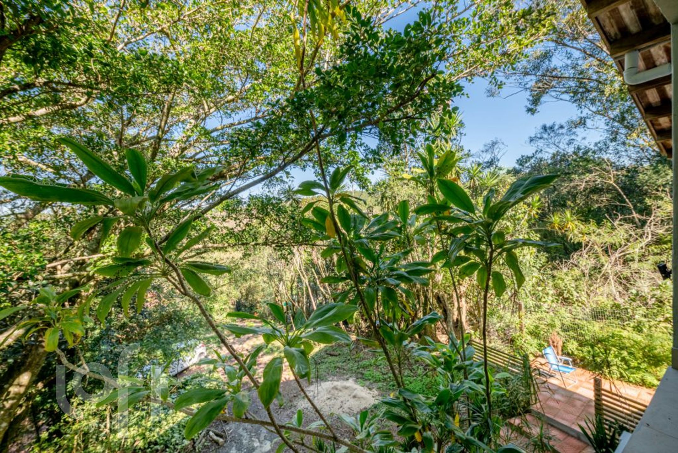 Imagem da propriedade 26