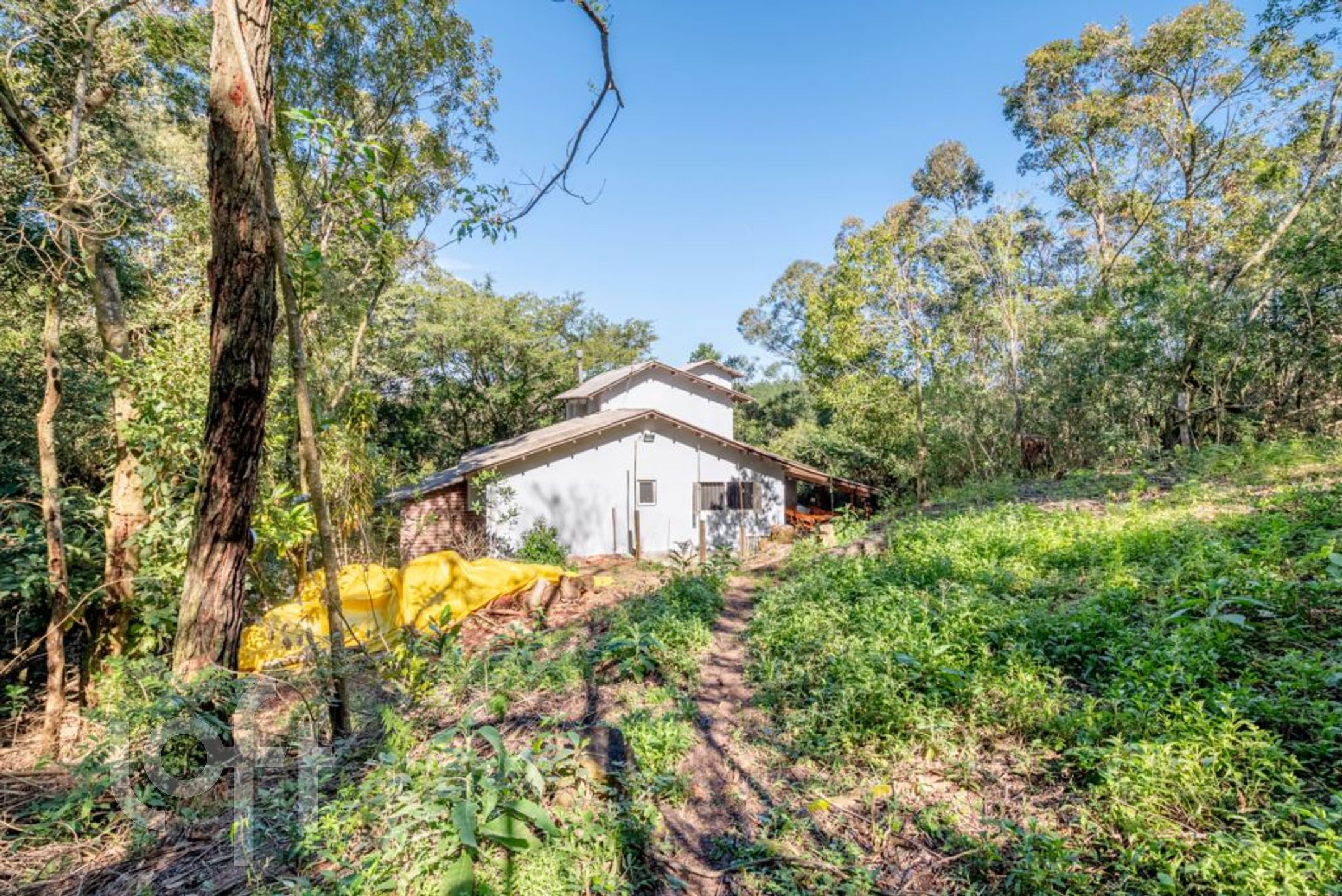 Imagem da propriedade 37