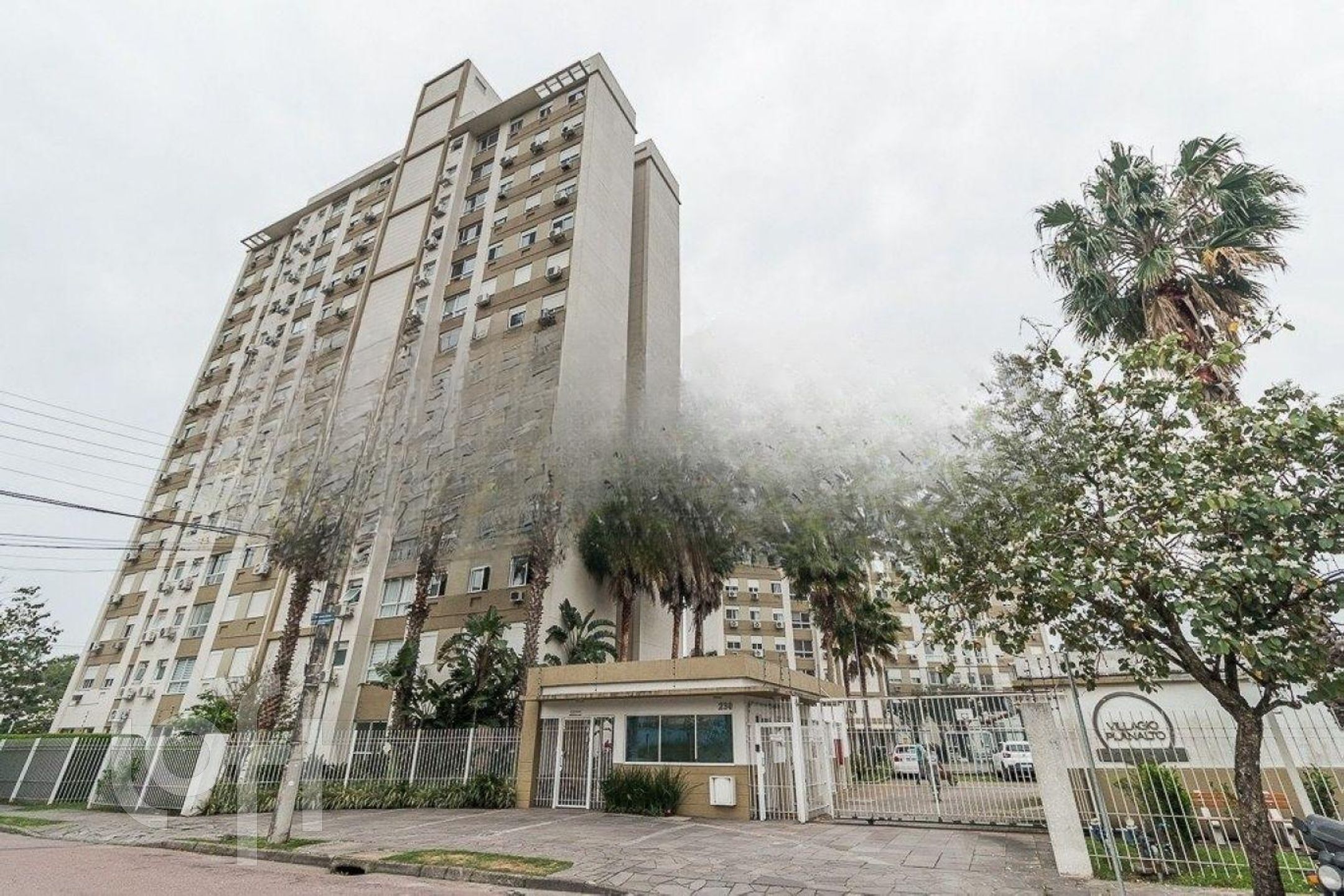 Imagem da propriedade 3