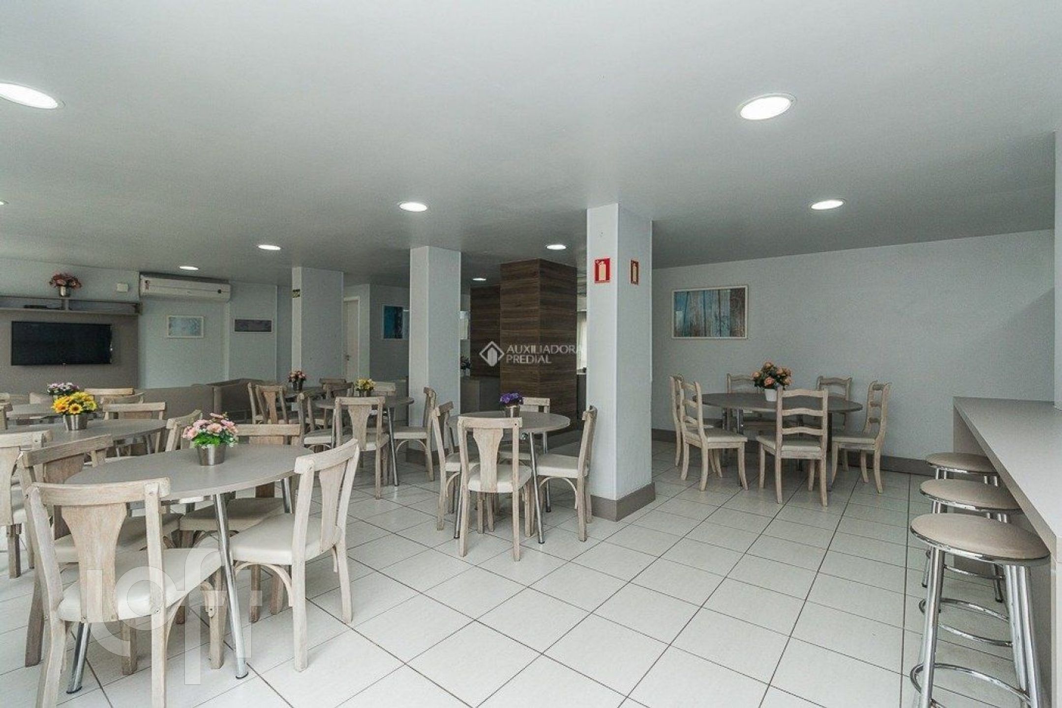 Imagem da propriedade 7