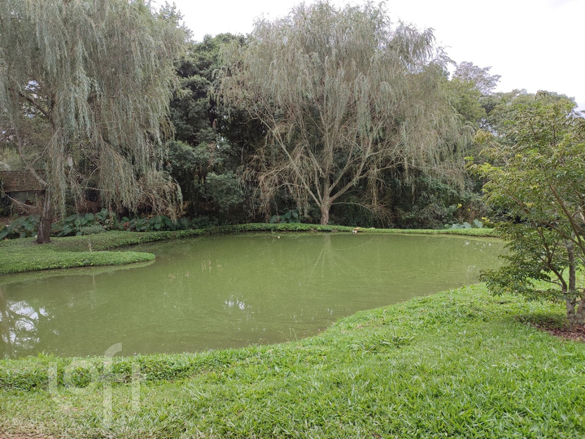 Imagem da propriedade 12