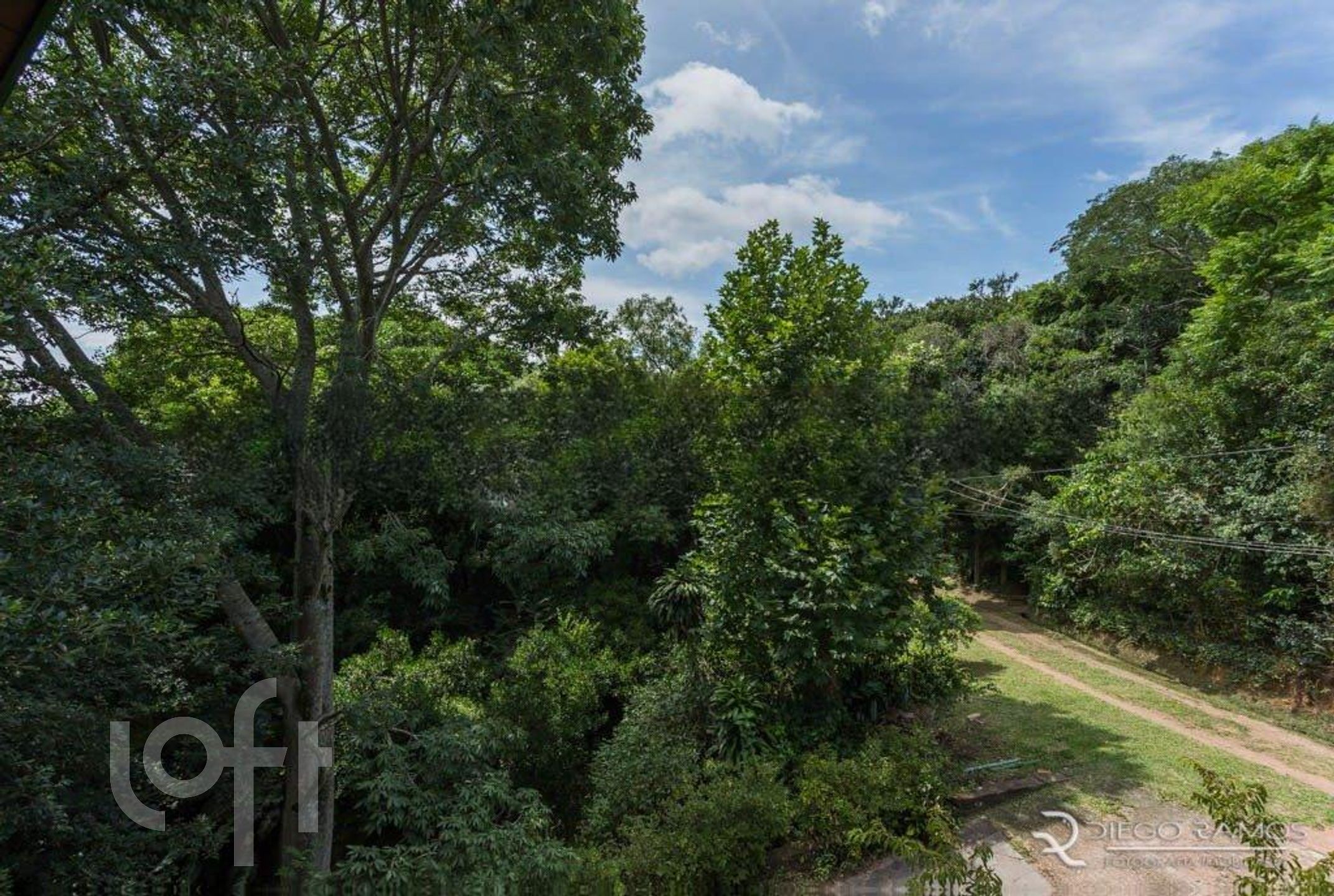 Imagem da propriedade 27