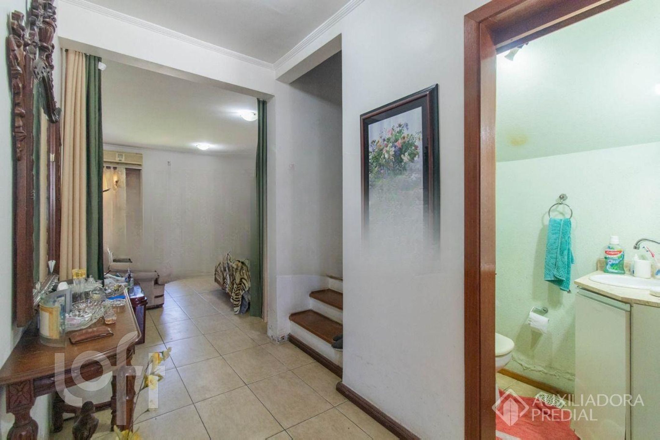 Imagem da propriedade 3