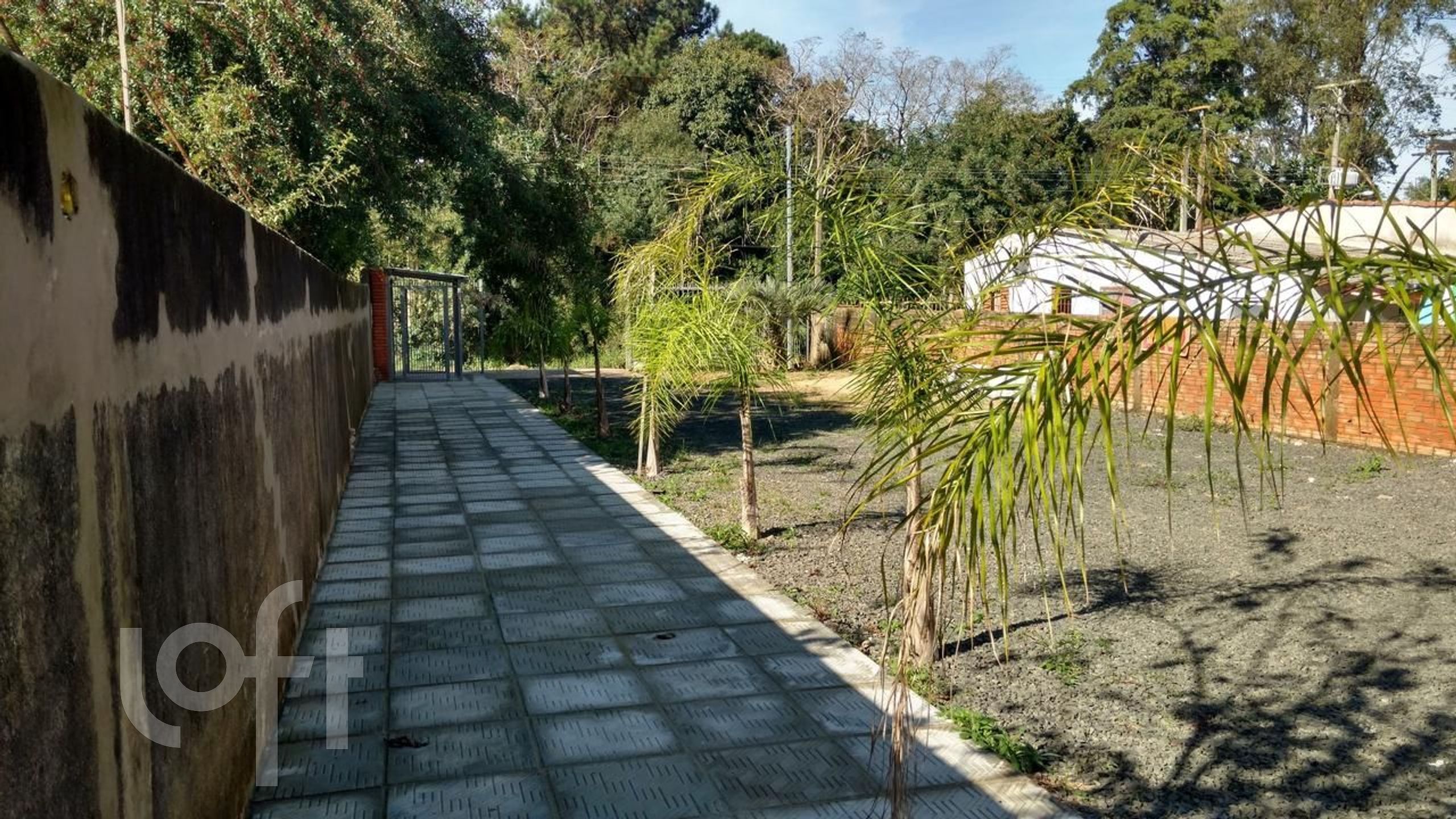 Imagem da propriedade 12