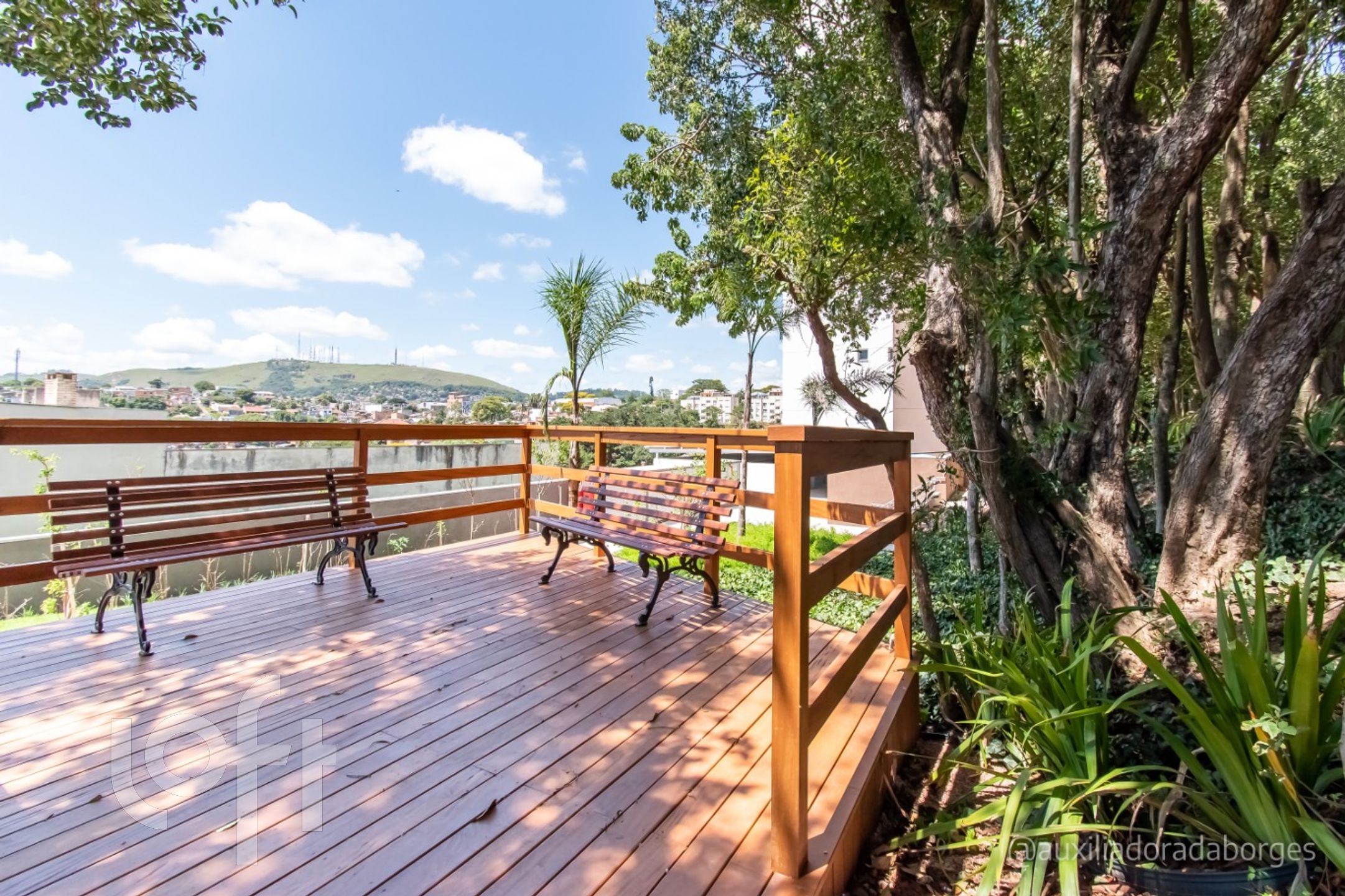 Imagem da propriedade 39