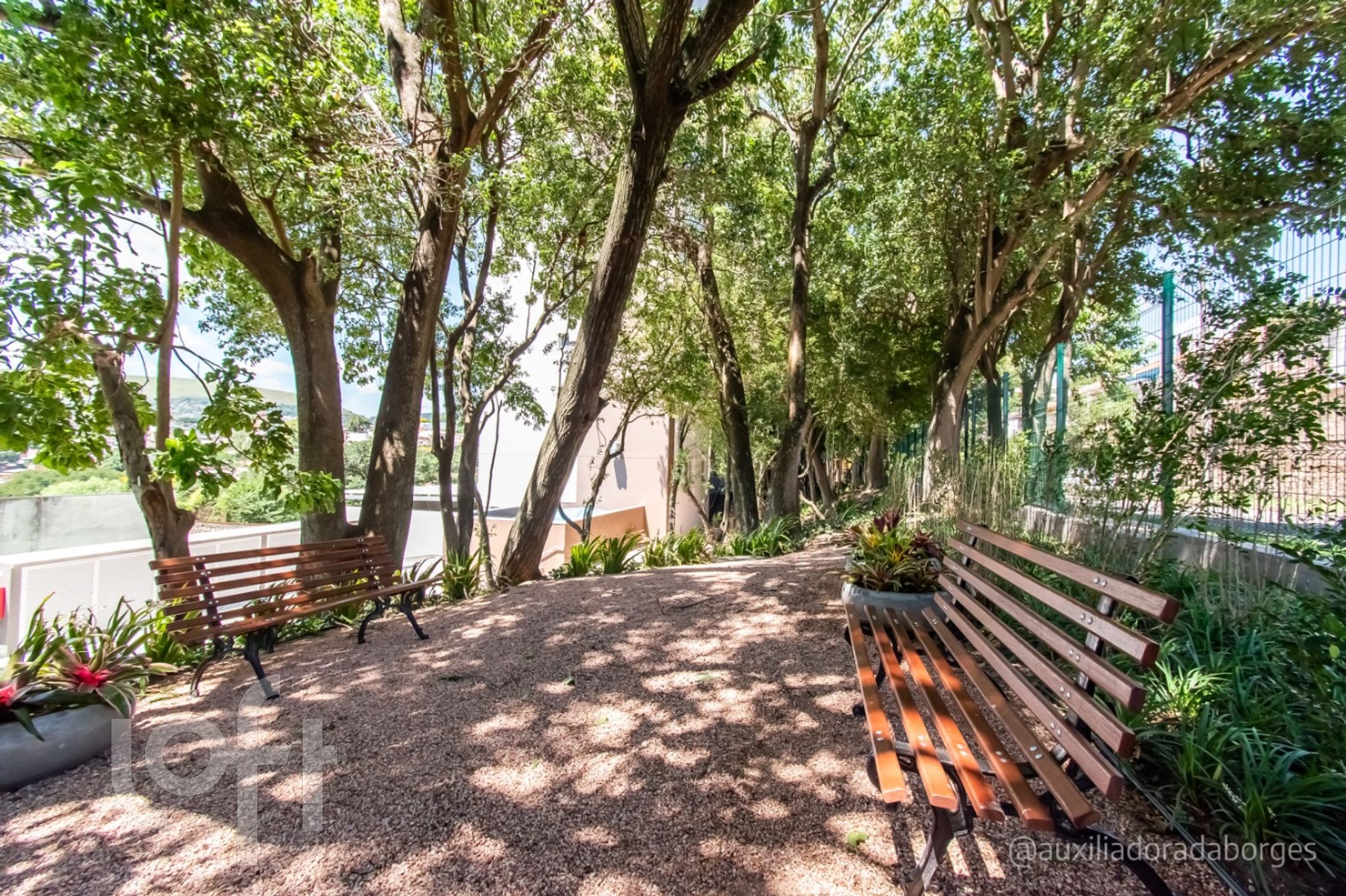 Imagem da propriedade 40