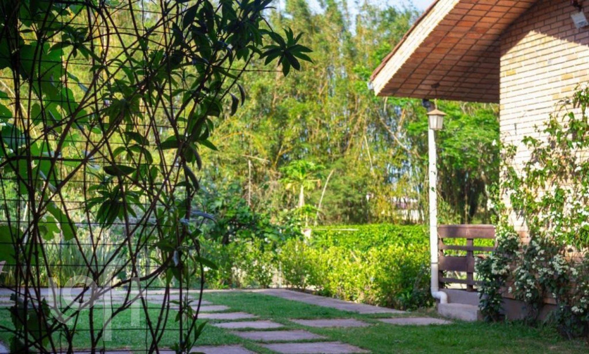 Imagem da propriedade 8