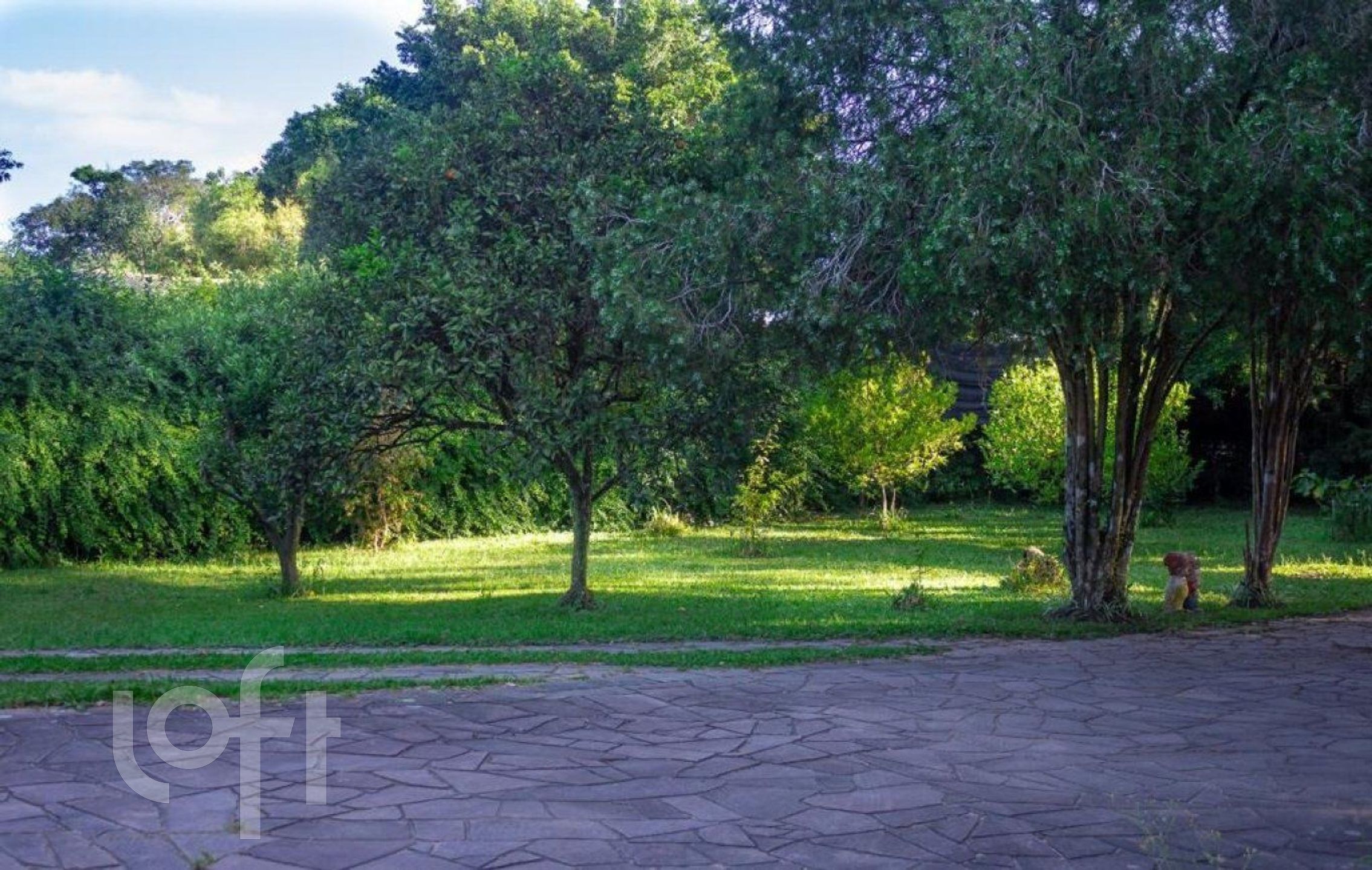 Imagem da propriedade 23