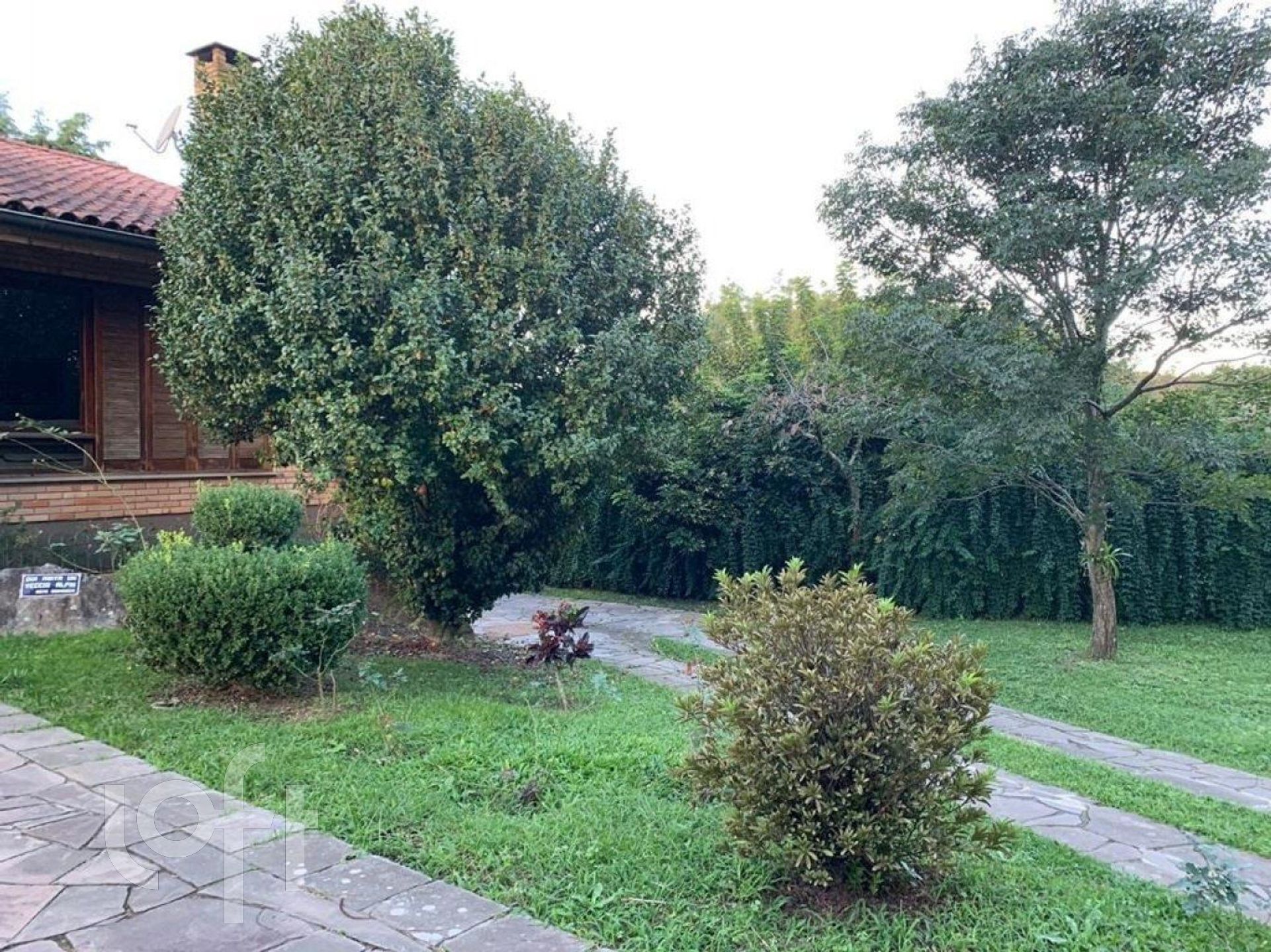 Imagem da propriedade 25