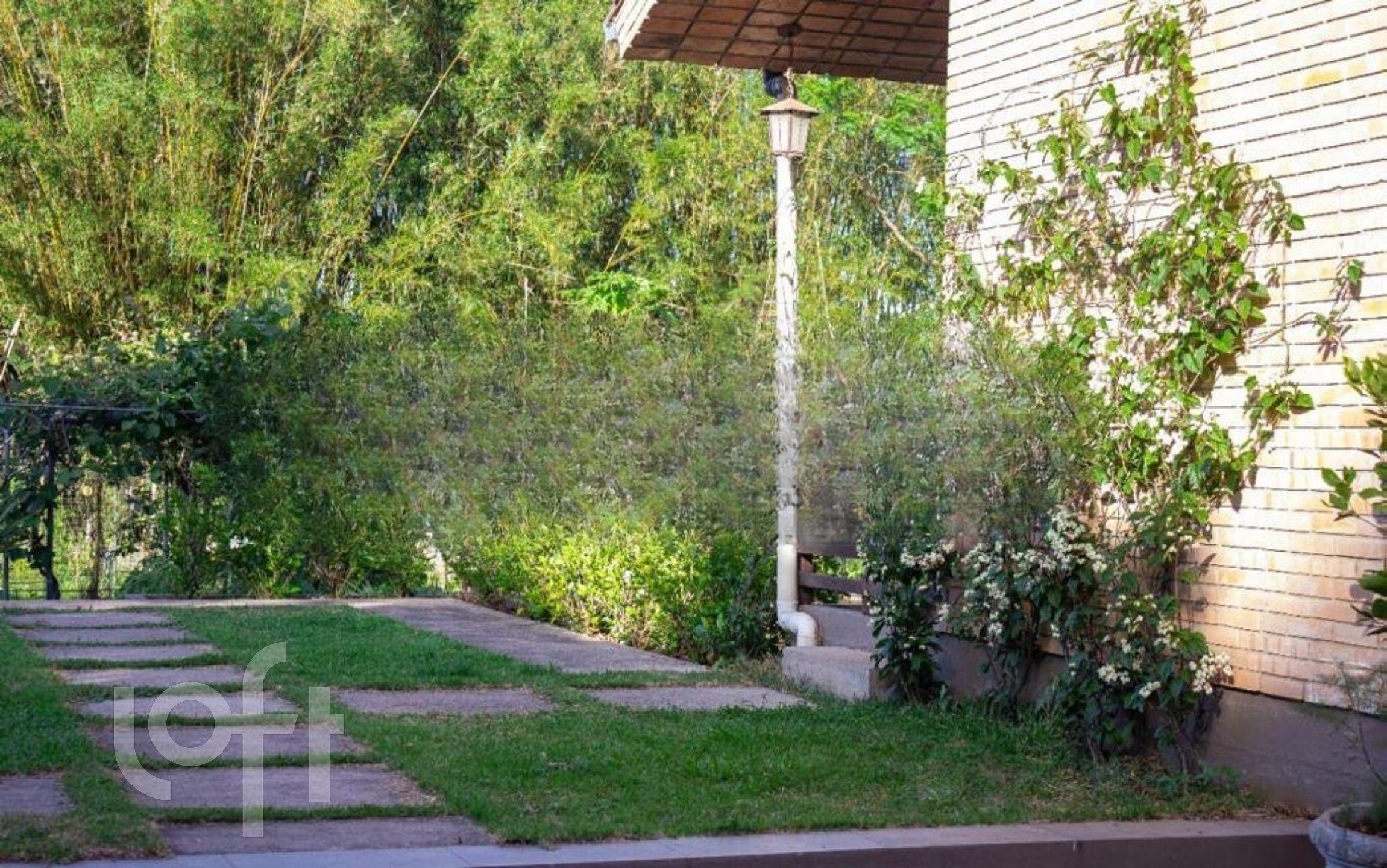 Imagem da propriedade 29