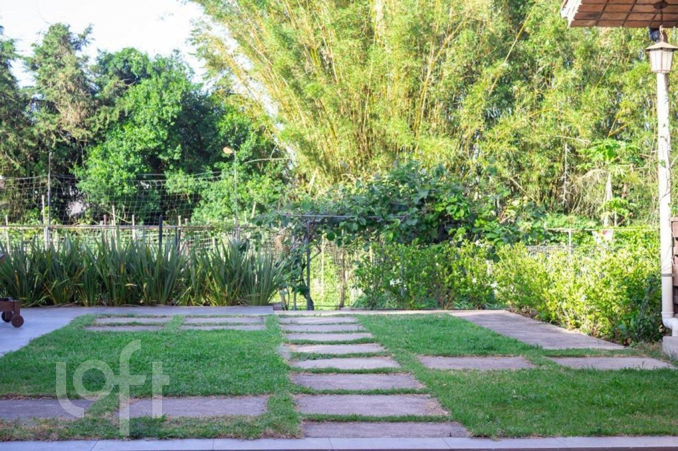 Imagem da propriedade 28