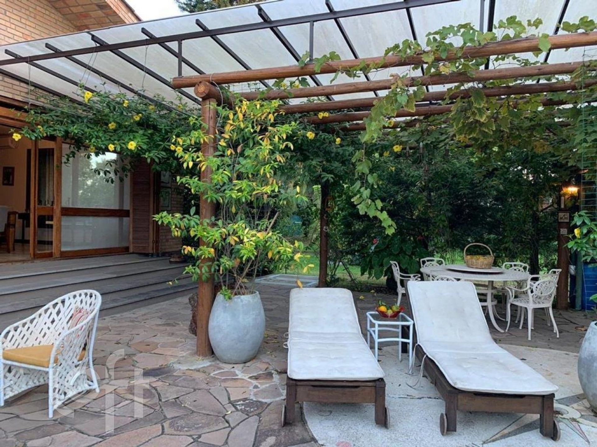 Imagem da propriedade 5