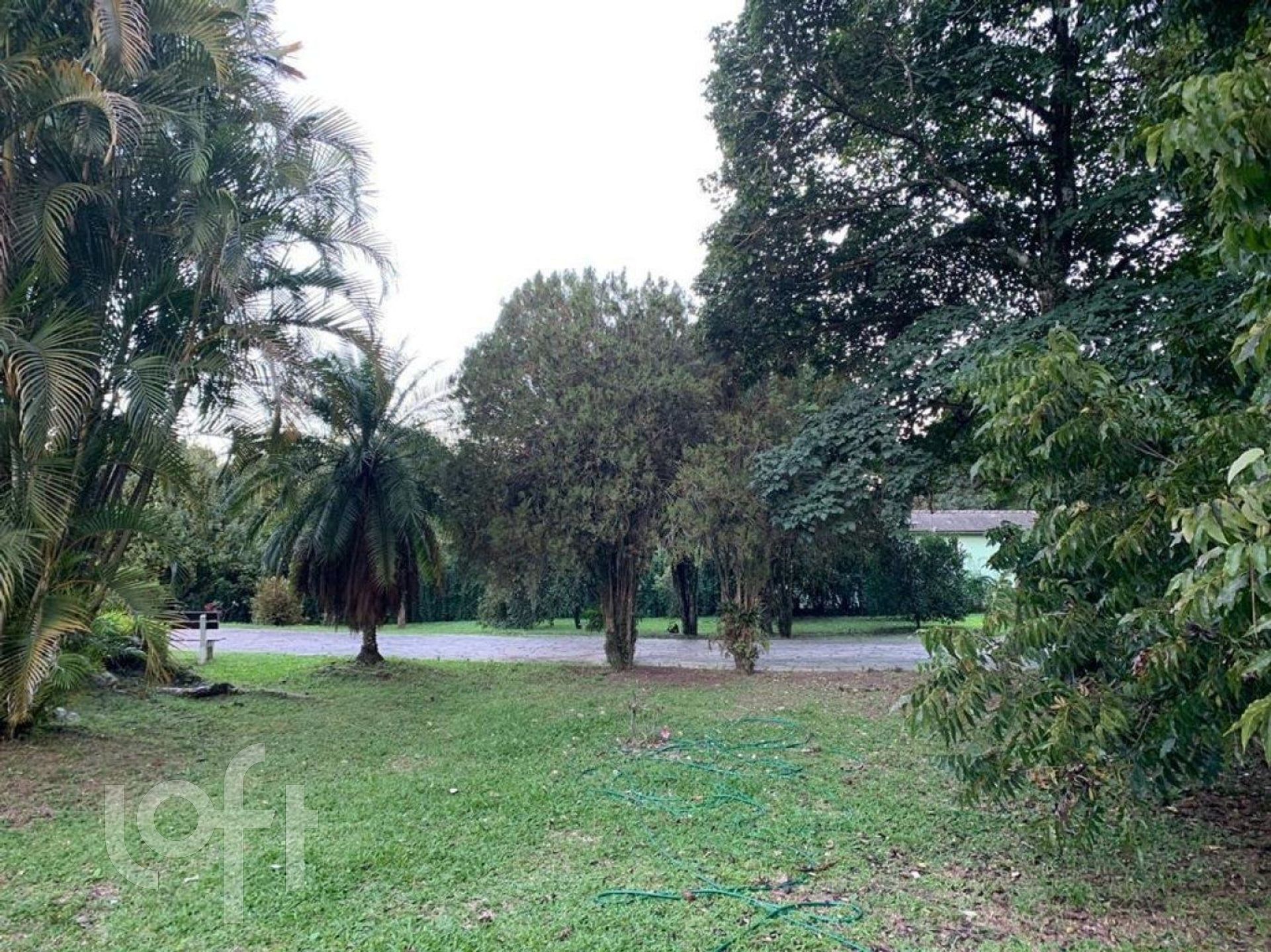 Imagem da propriedade 27