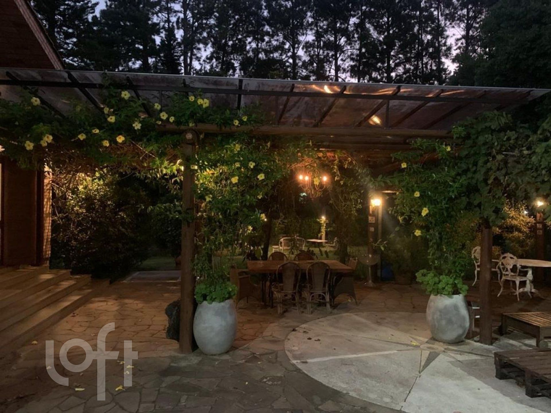 Imagem da propriedade 31