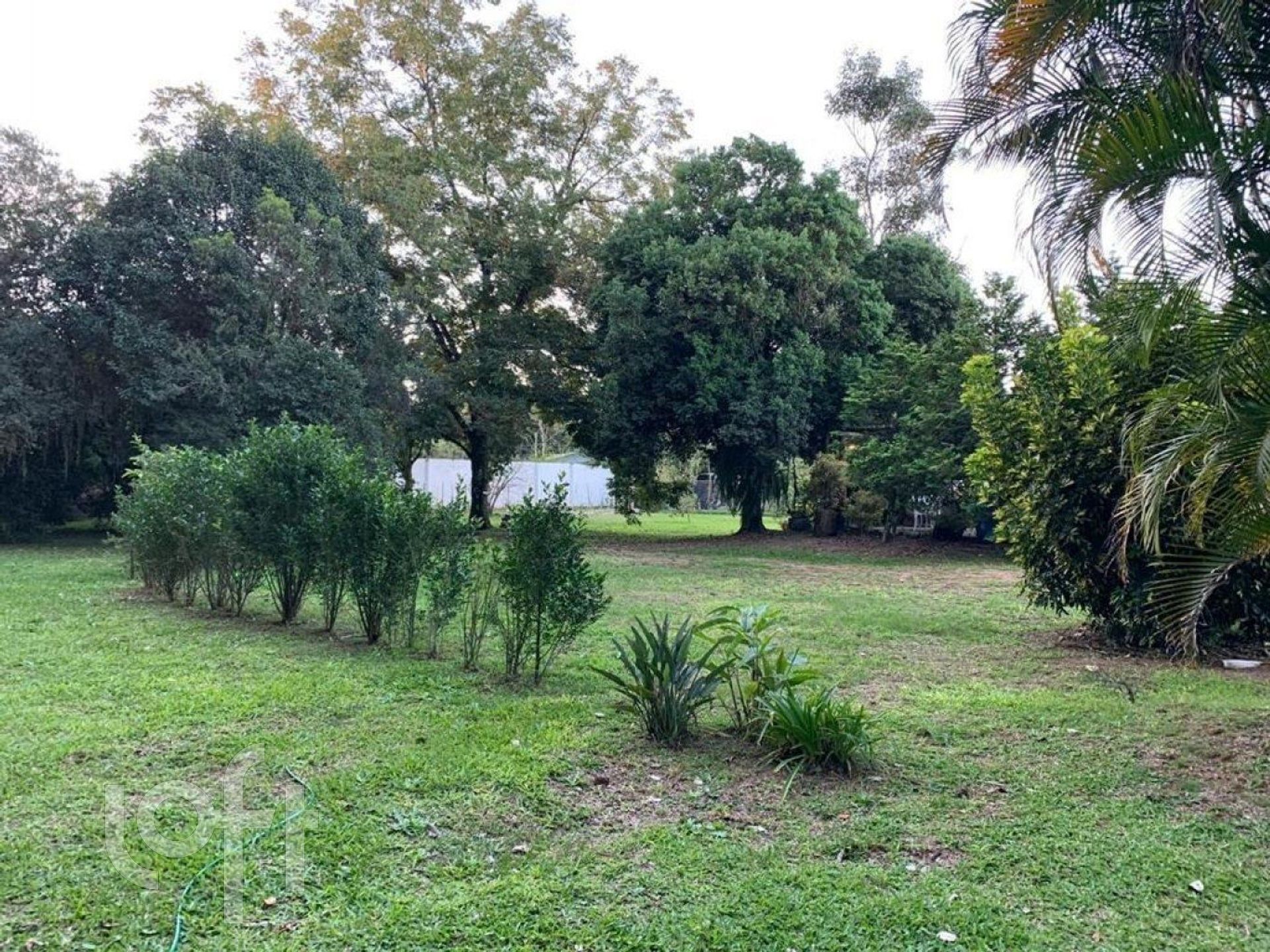 Imagem da propriedade 26