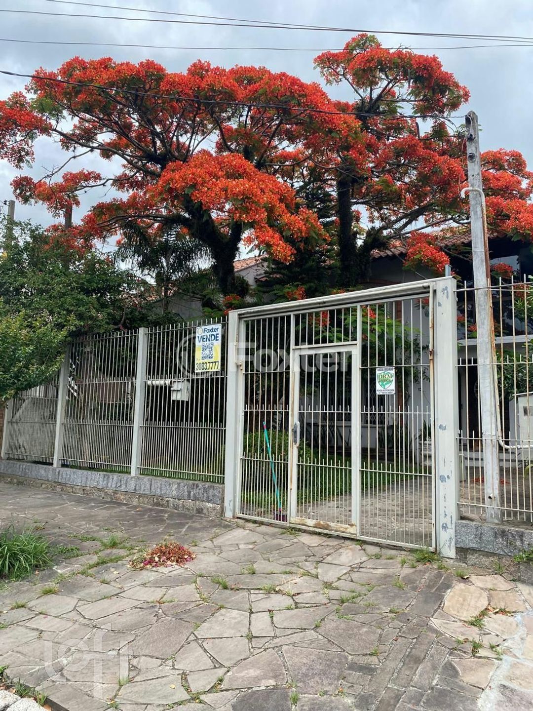 Imagem da propriedade 54
