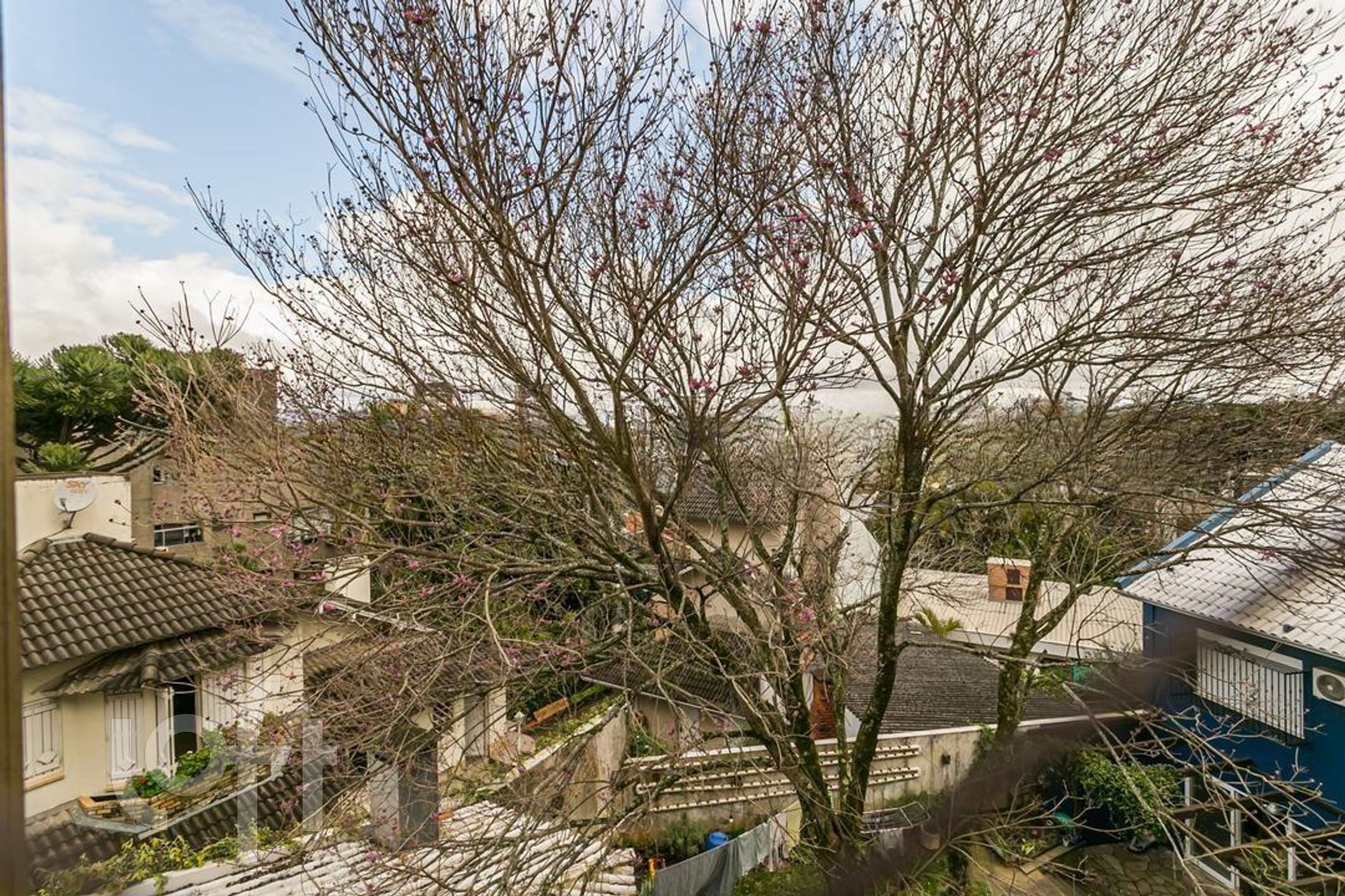 Imagem da propriedade 23