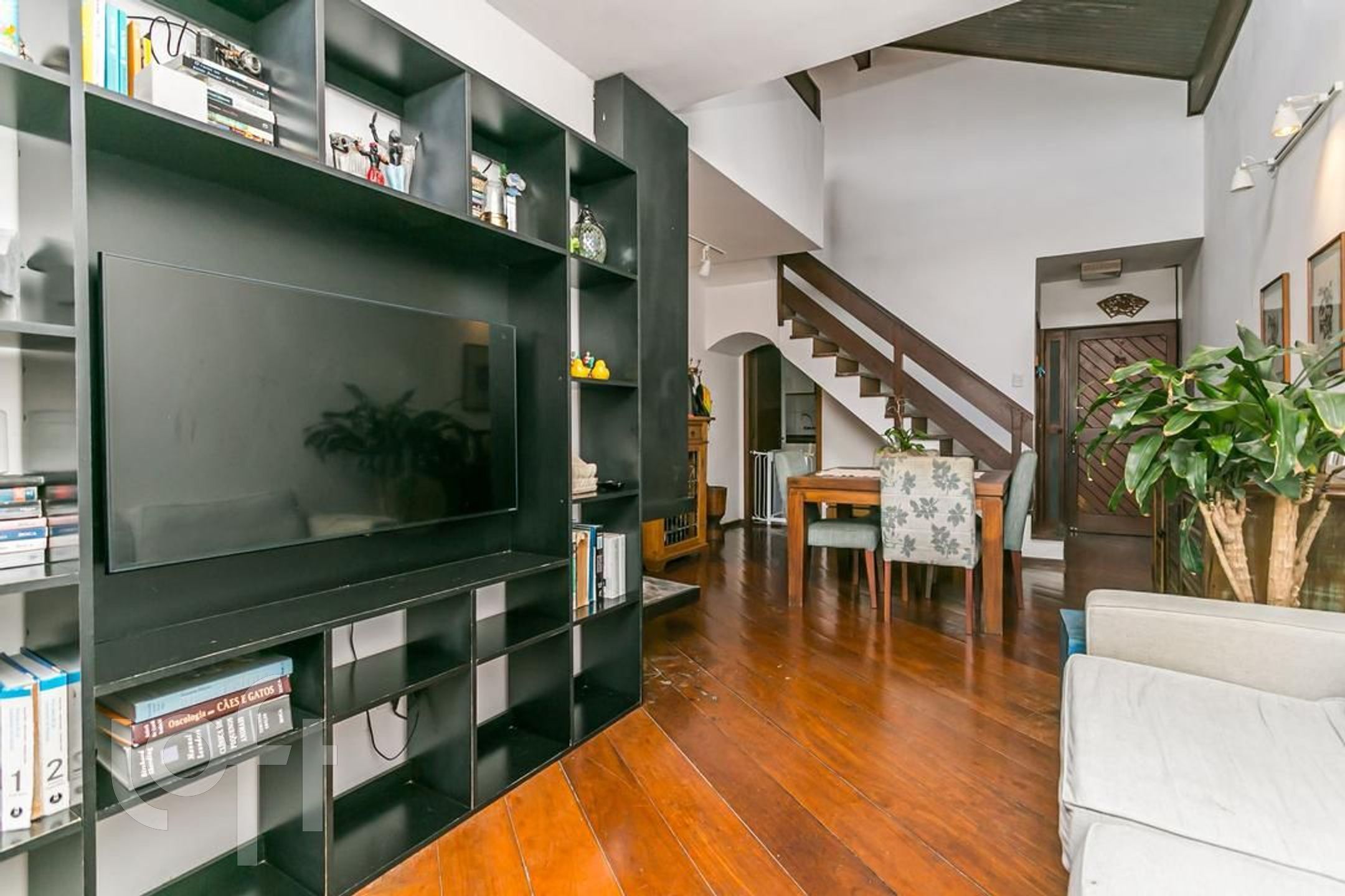 Imagem da propriedade 3