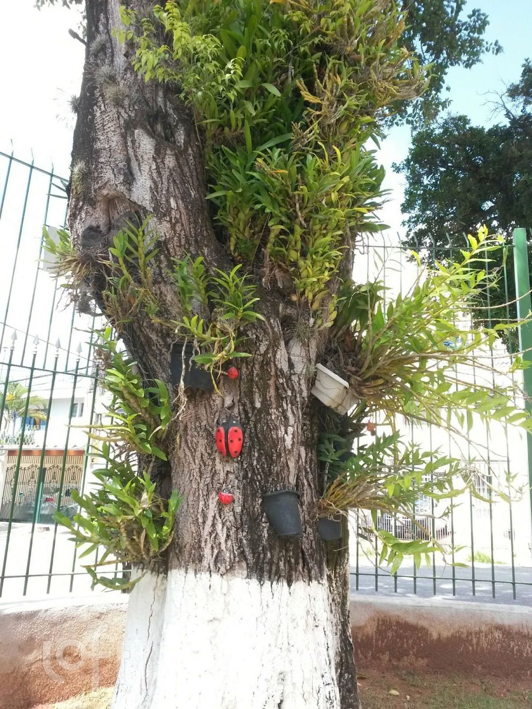 Imagem da propriedade PUlyzxoi 20