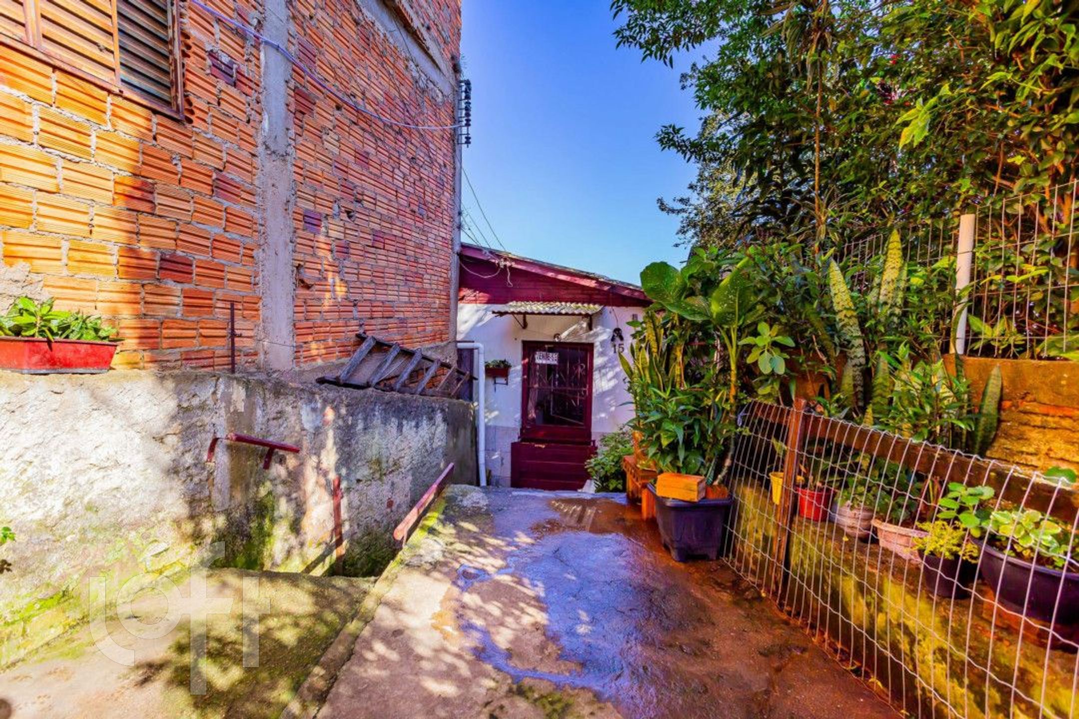 Imagem da propriedade 18