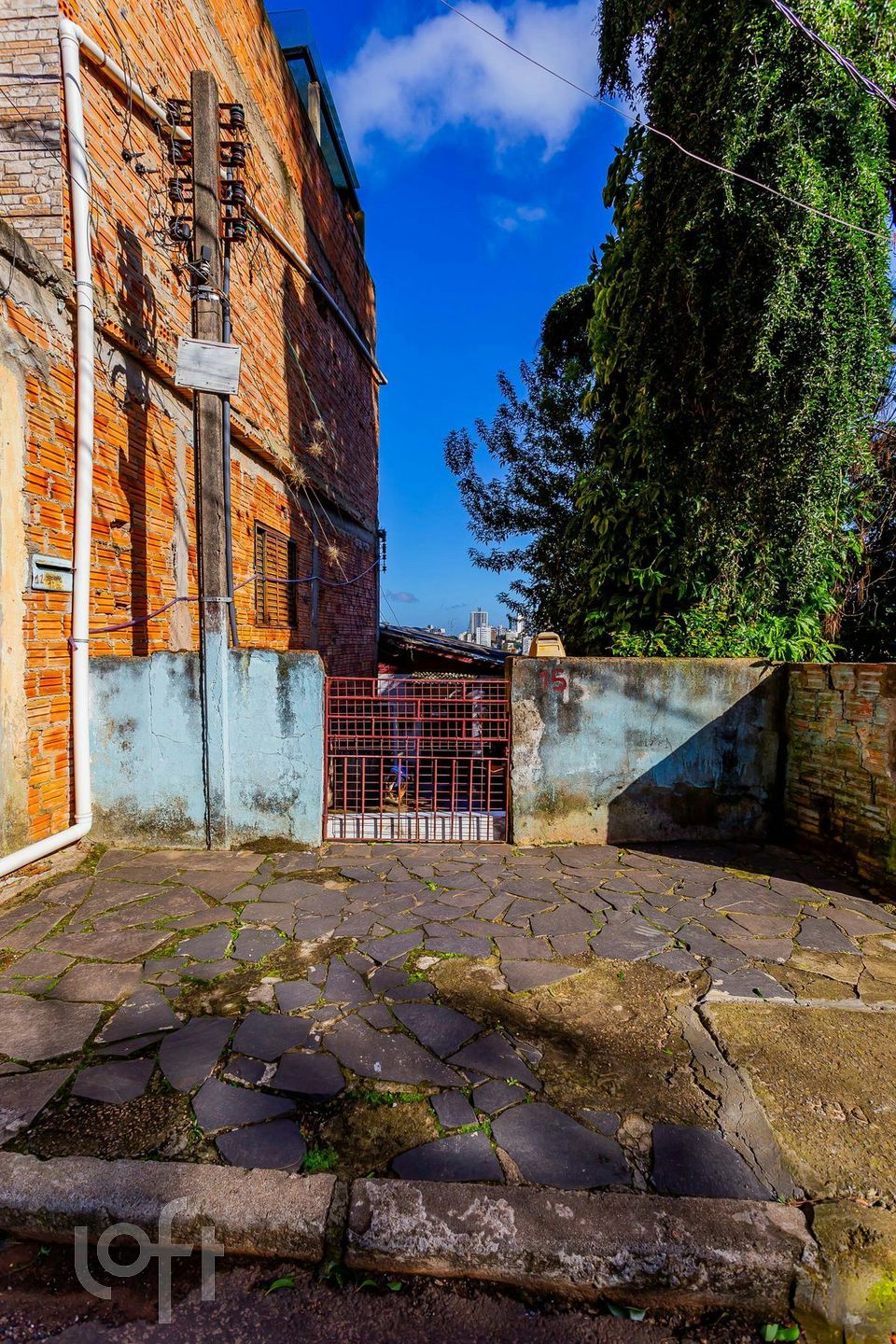 Imagem da propriedade 16