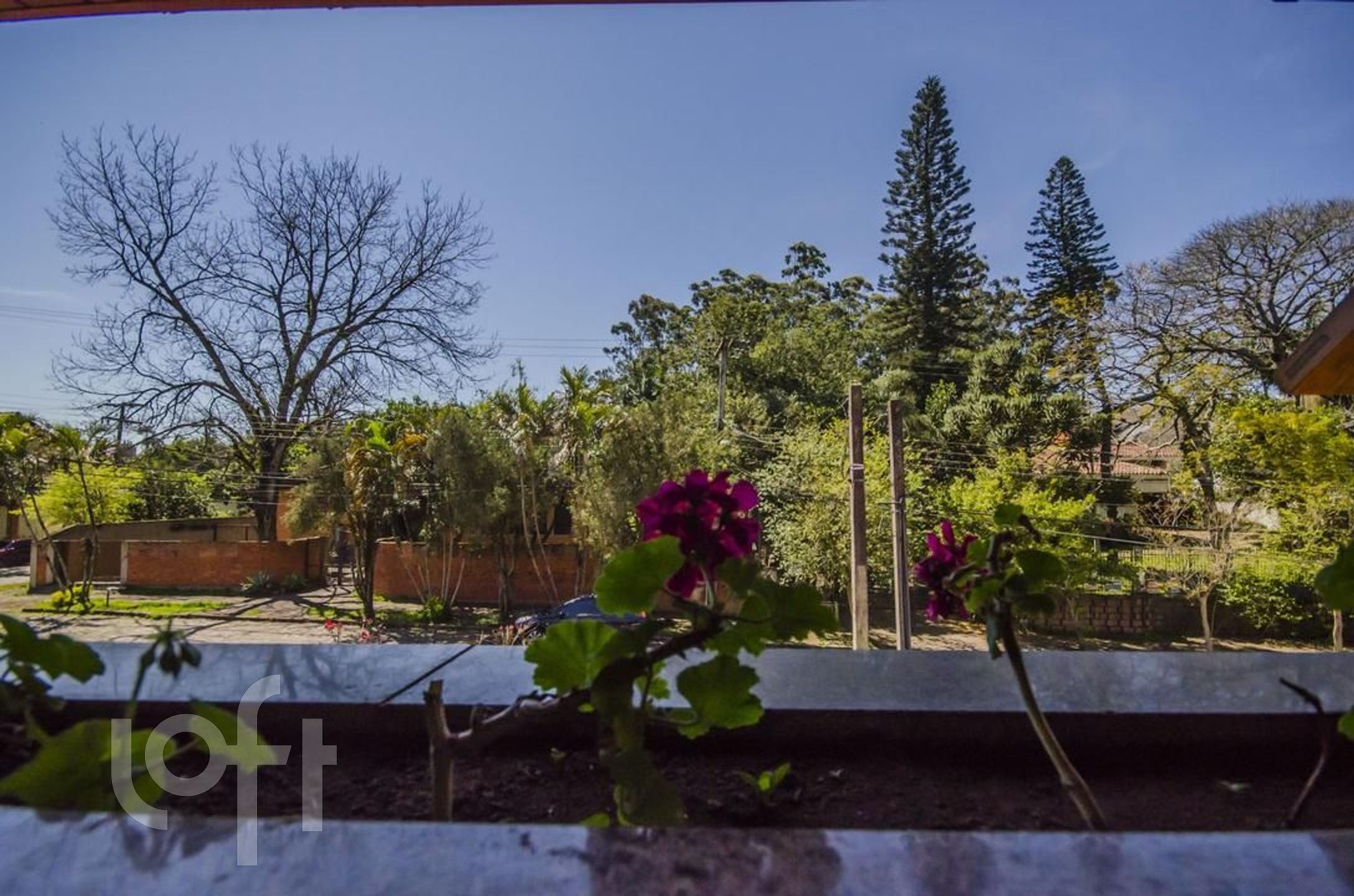 Imagem da propriedade 36